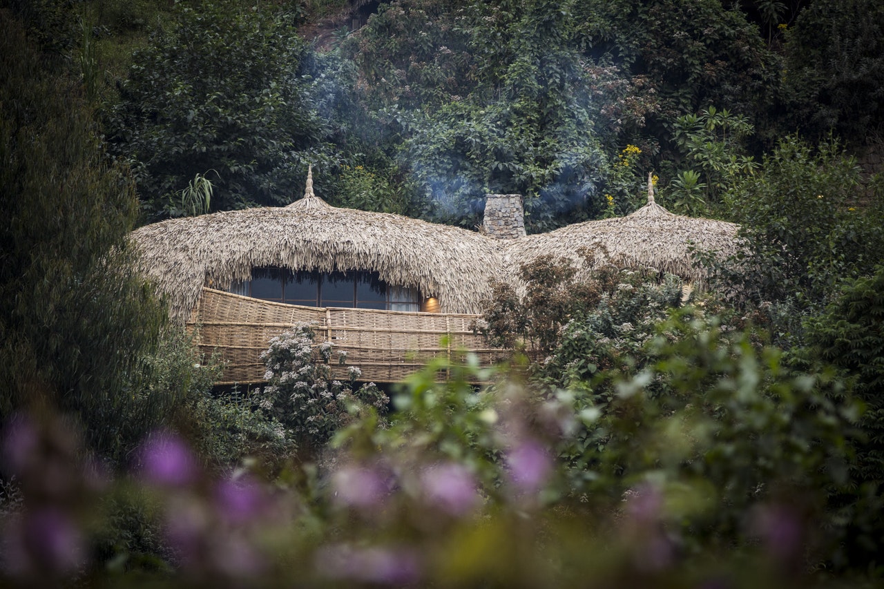 A thatch-roofed house seen through the trees.