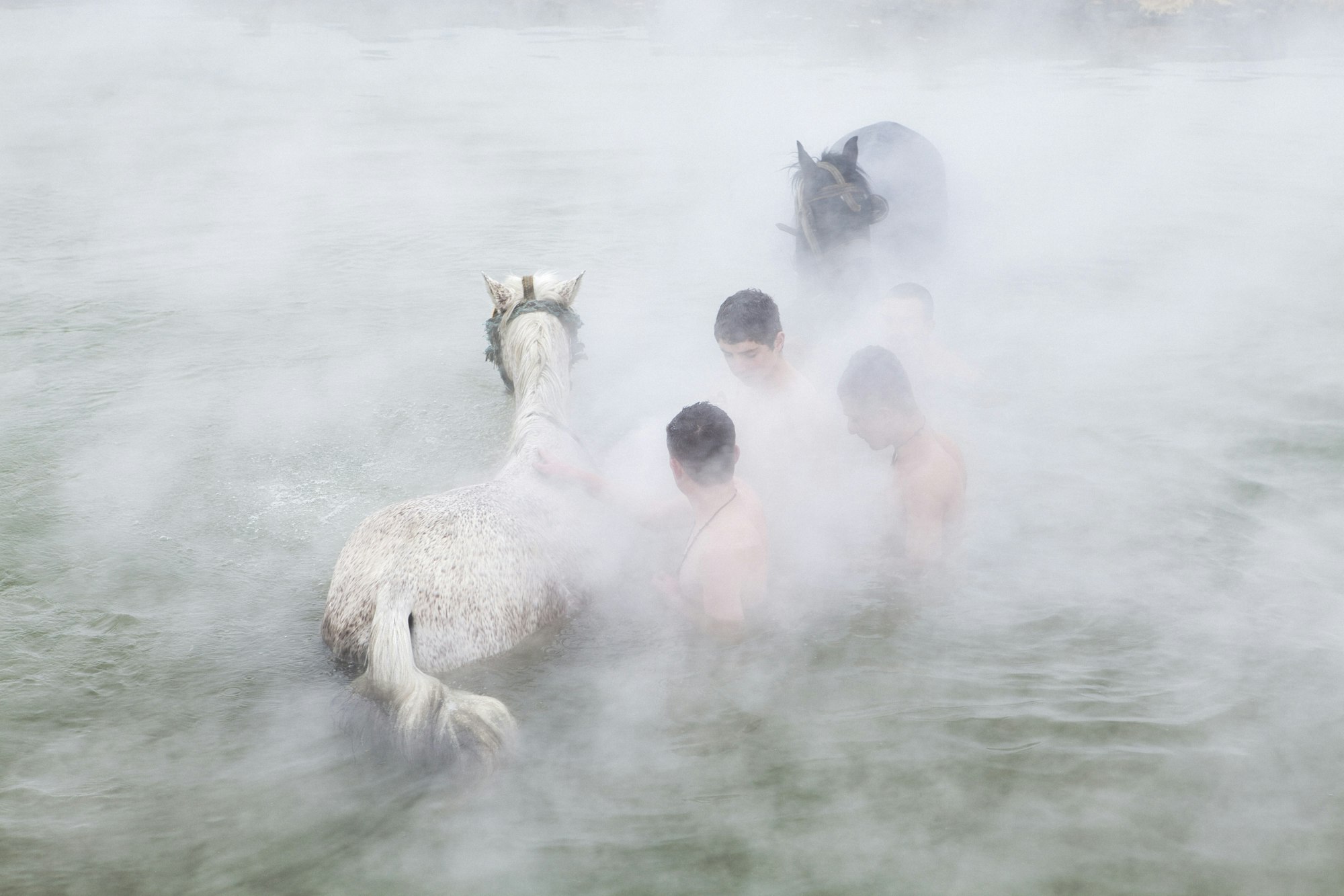 Boys and horses shrouded in mist