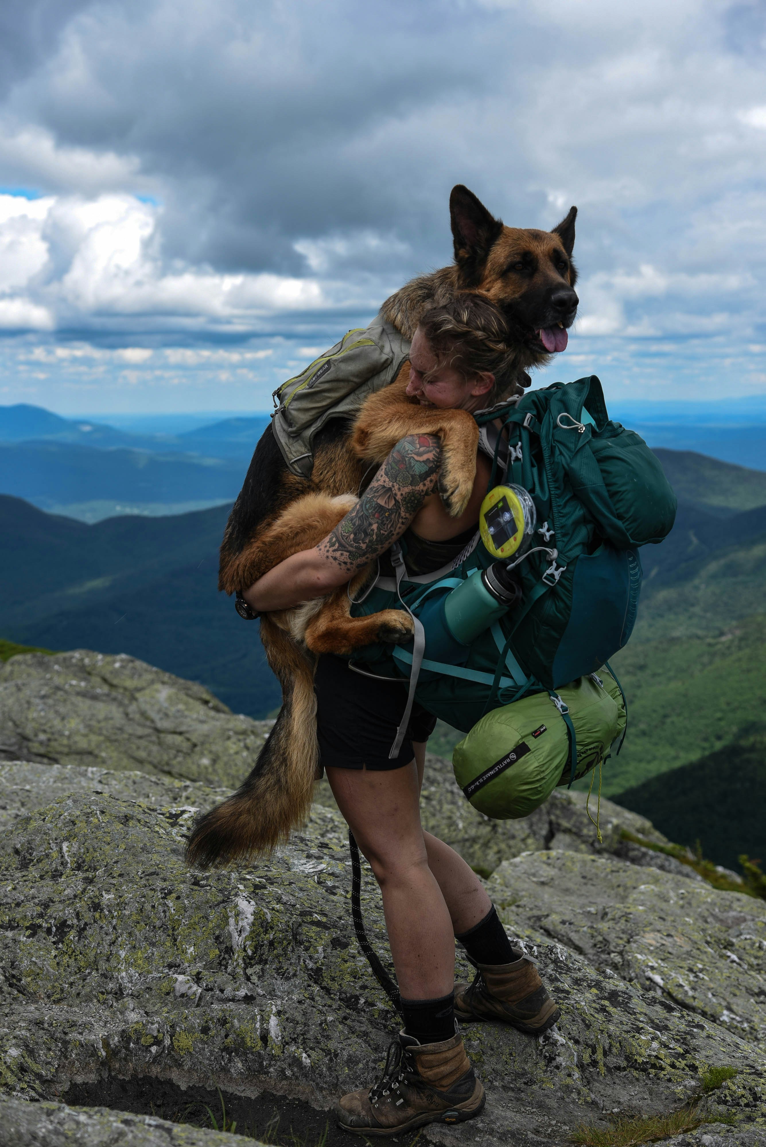 Travel News - Ultimate Travel Dog