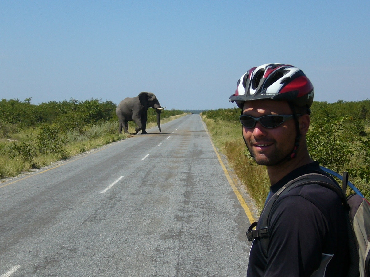 Cyclist meets an elephant on the road