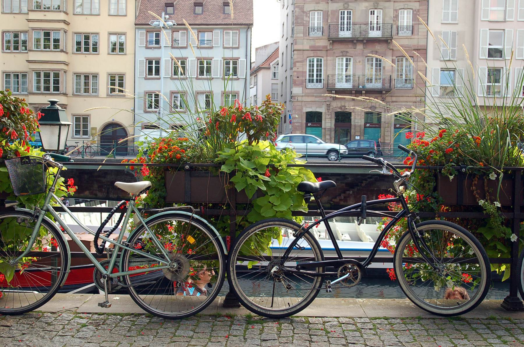 best cycling cities in the world