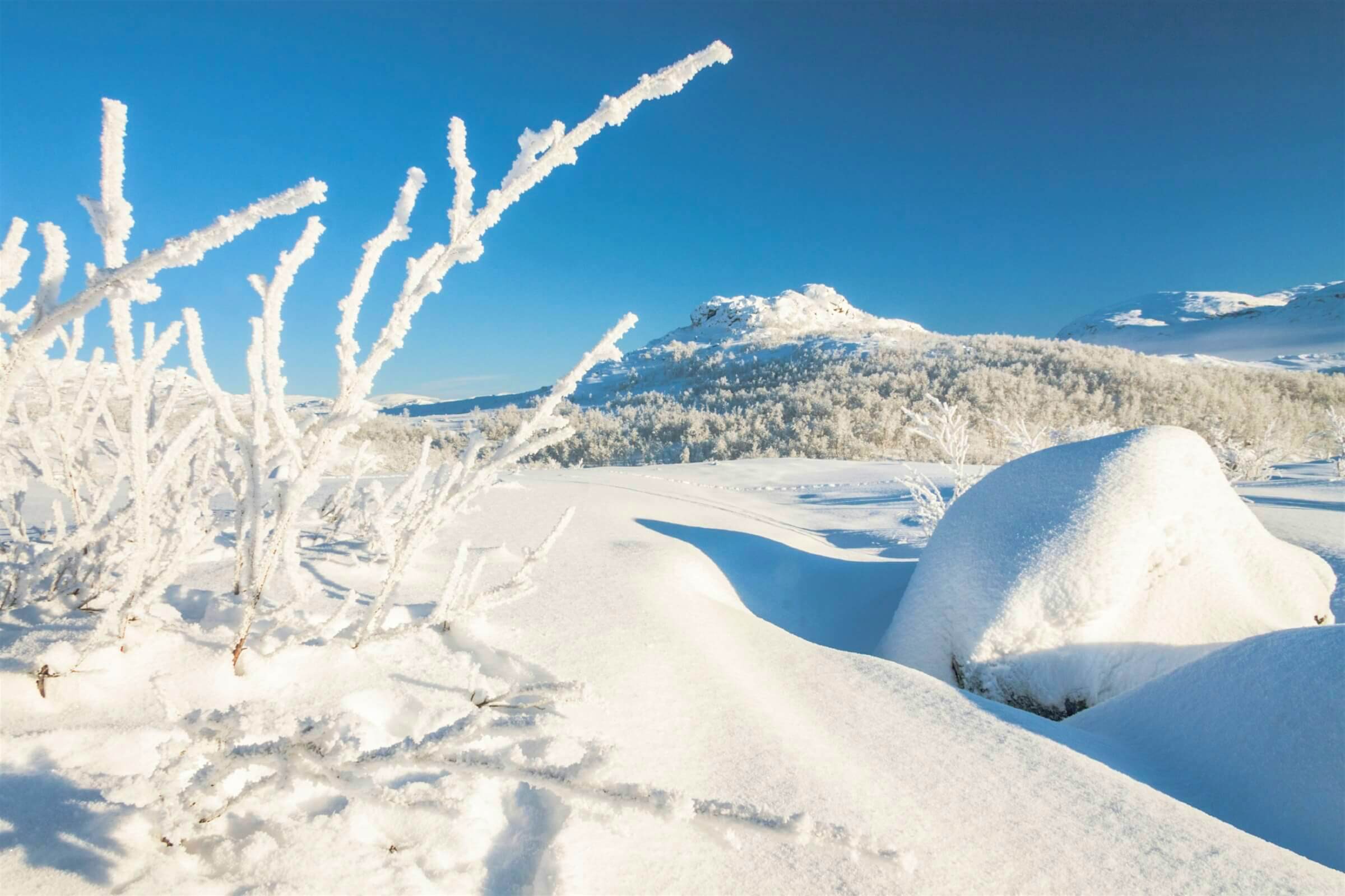 Travel News - sweden snowfall 2017 Winter landscape in Riksgransen, Kiruna region, Sweden.