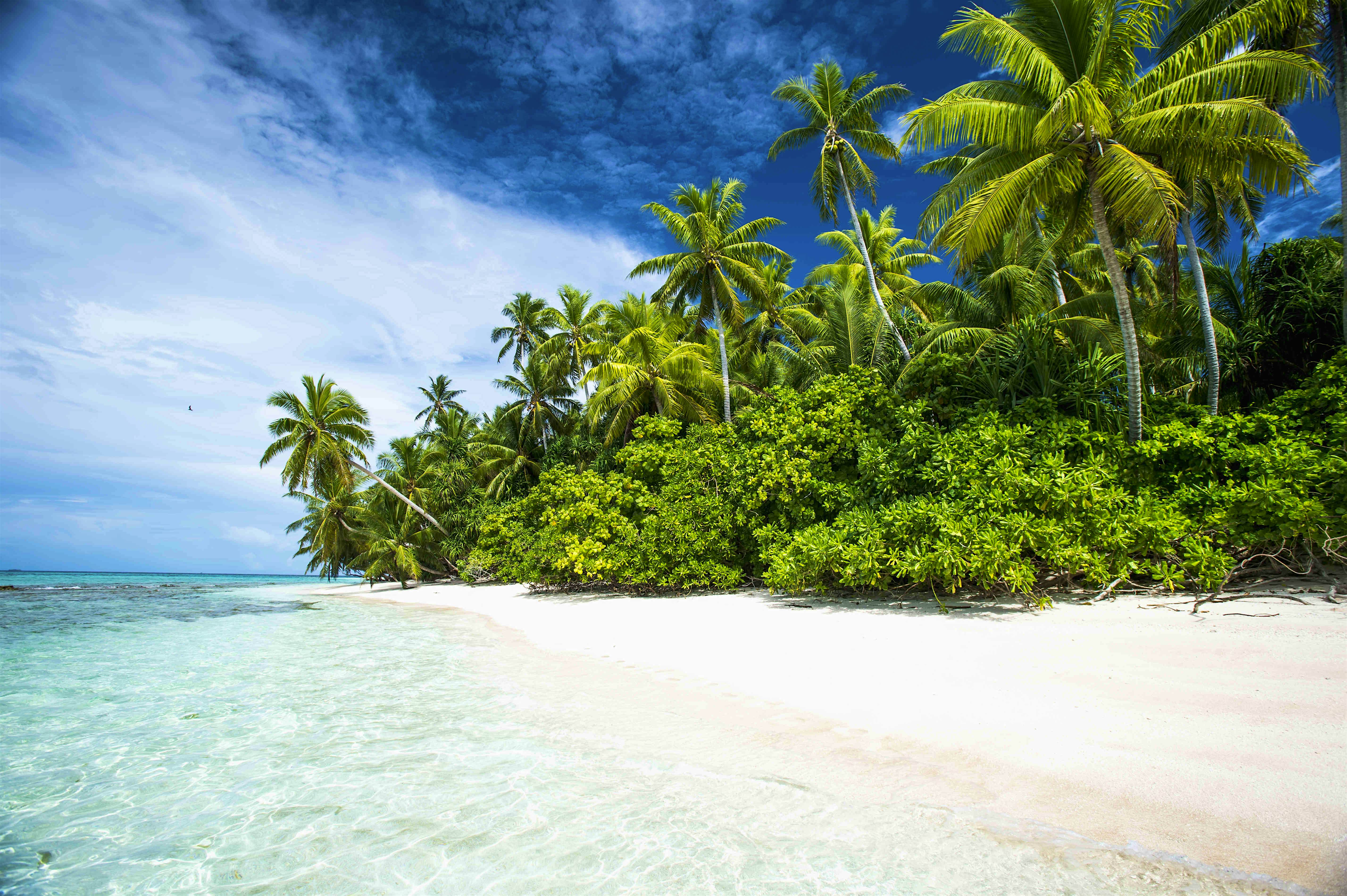 Travel News - tuvalu Travel News - tuvalu