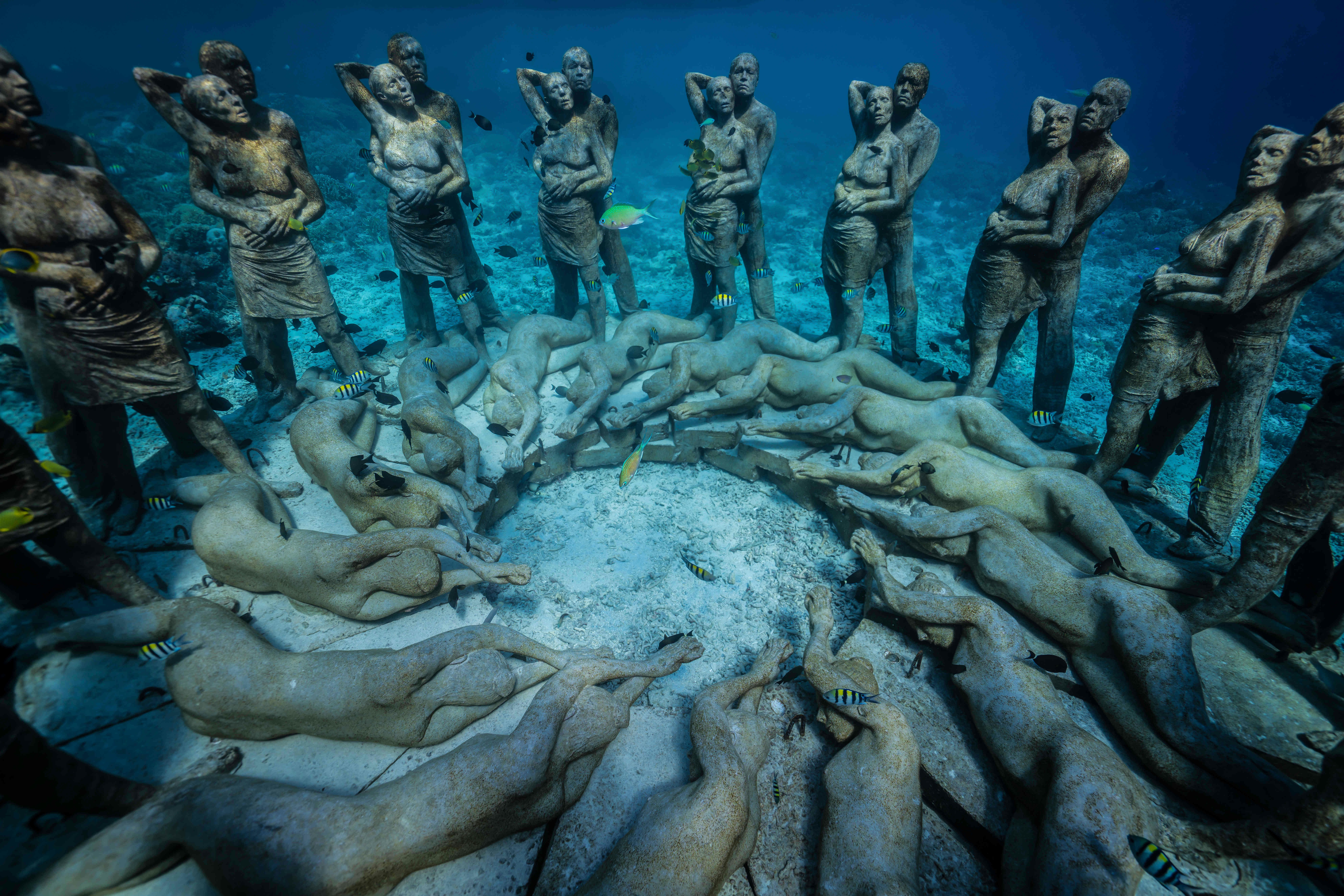 The forms create an artificial reef that divers can swim down and see. 