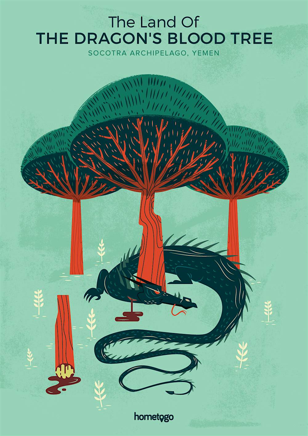 Travel News - 02-The Land Of The Dragon's Blood Tree Travel News - 02-The Land Of The Dragon's Blood Tree