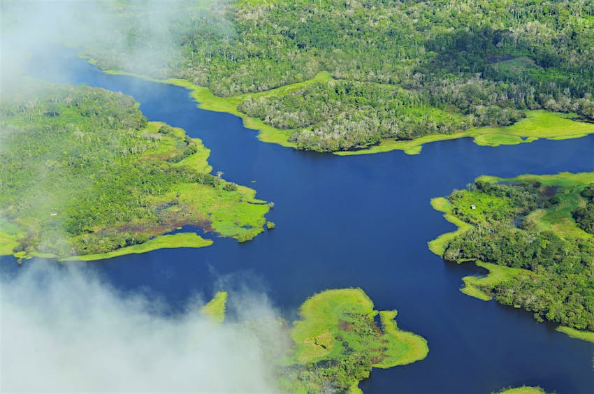 Travel News - Amazonas Brazil Rainforest Amazonas Rain Forest Brazil