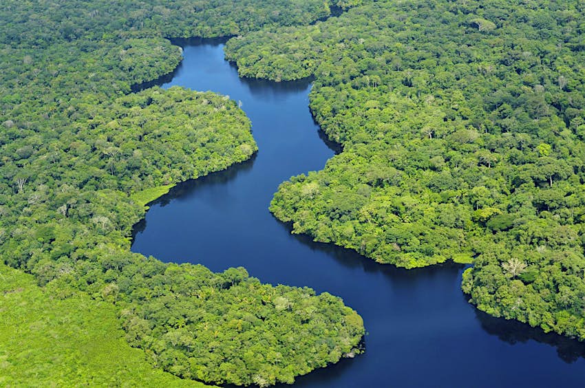 Travel News - Amazonas Rainforest Amazonas Rainforest