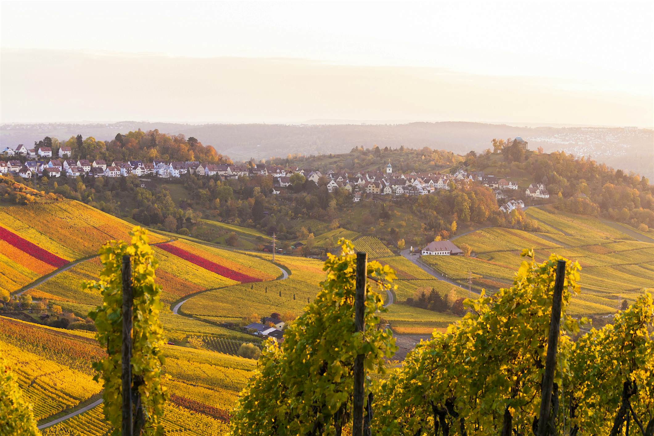 Travel News - stuttgart Travel News - stuttgart