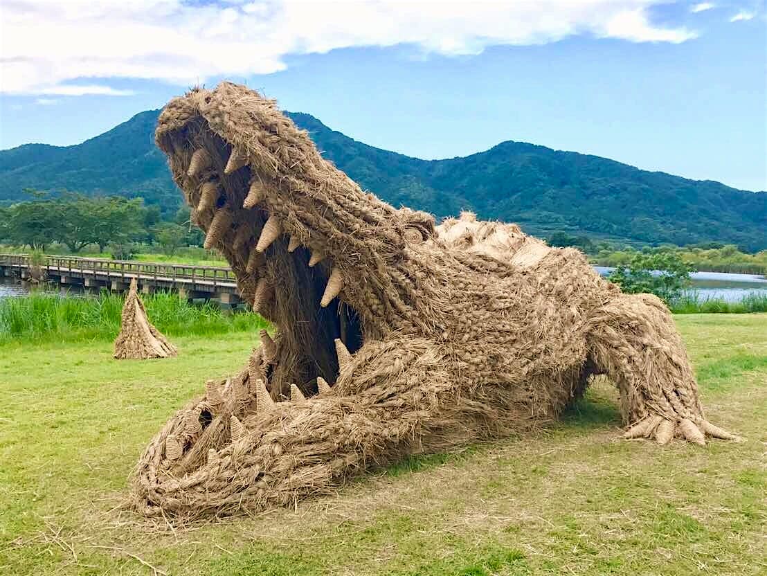 Travel News - Crocodile -The creatures on are display until 31 October. Photo courtesy of Wara Art Festival Crocodile woven from straw