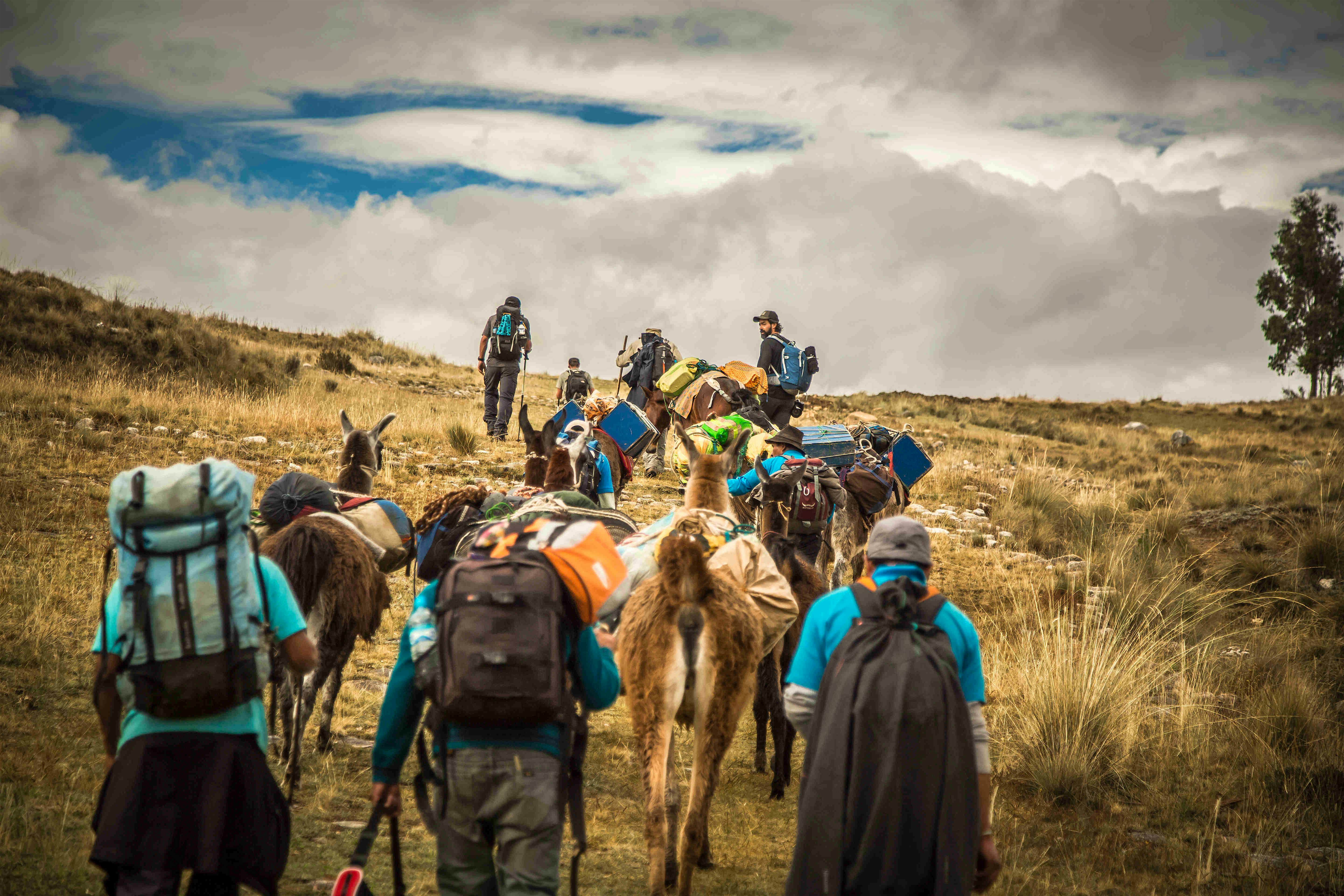 Travel News - Hikers on the Inca Trail between Huanuco Pampa and Yanahuanca in Northern Peru. Photo by Rodrigo Cabrero Hiking the Great Inca Trail in northern Peru