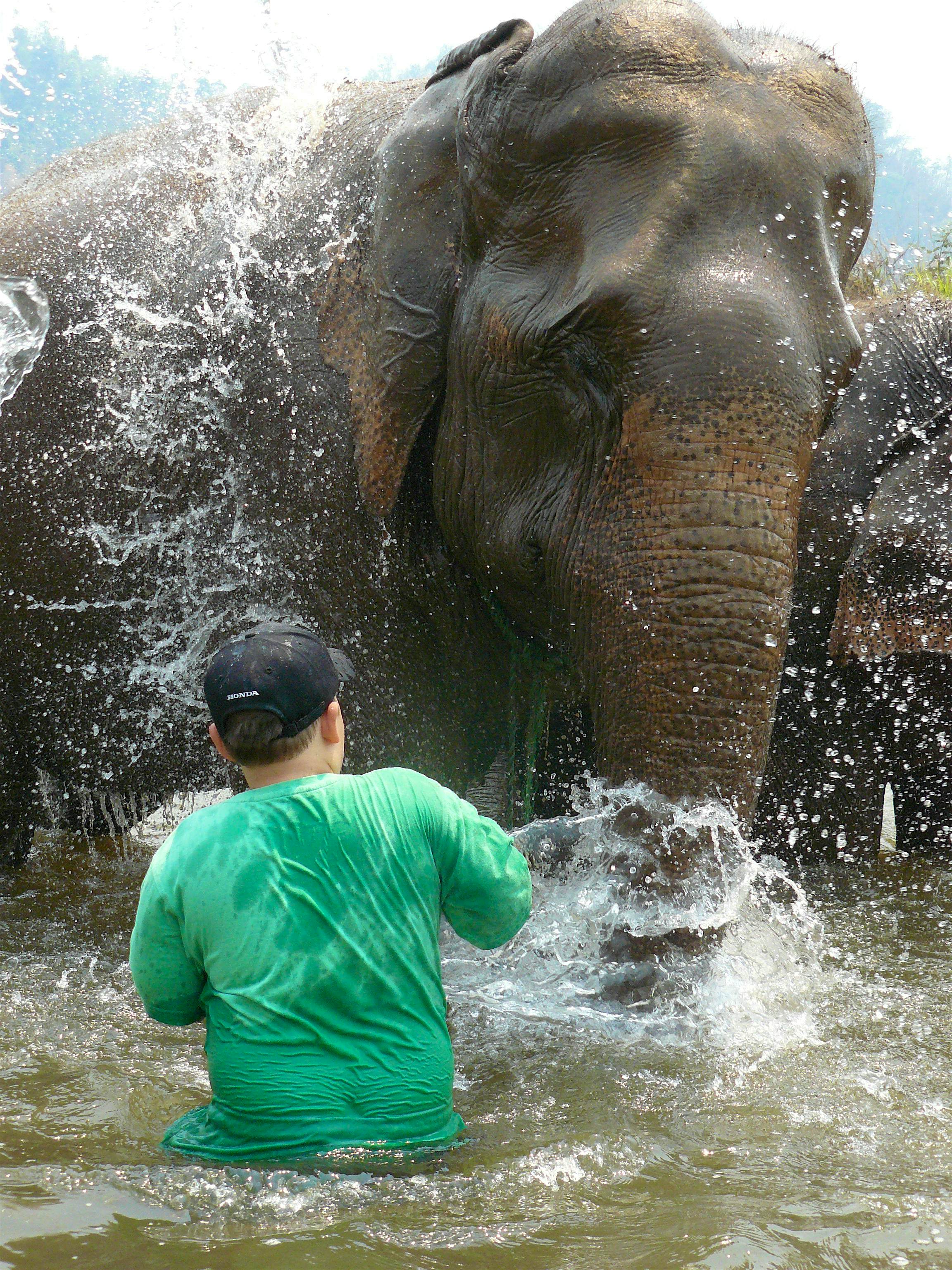 Travel News - Jack and Jokia the blind elephant Jack with Jokia, a blind rescue elephant.