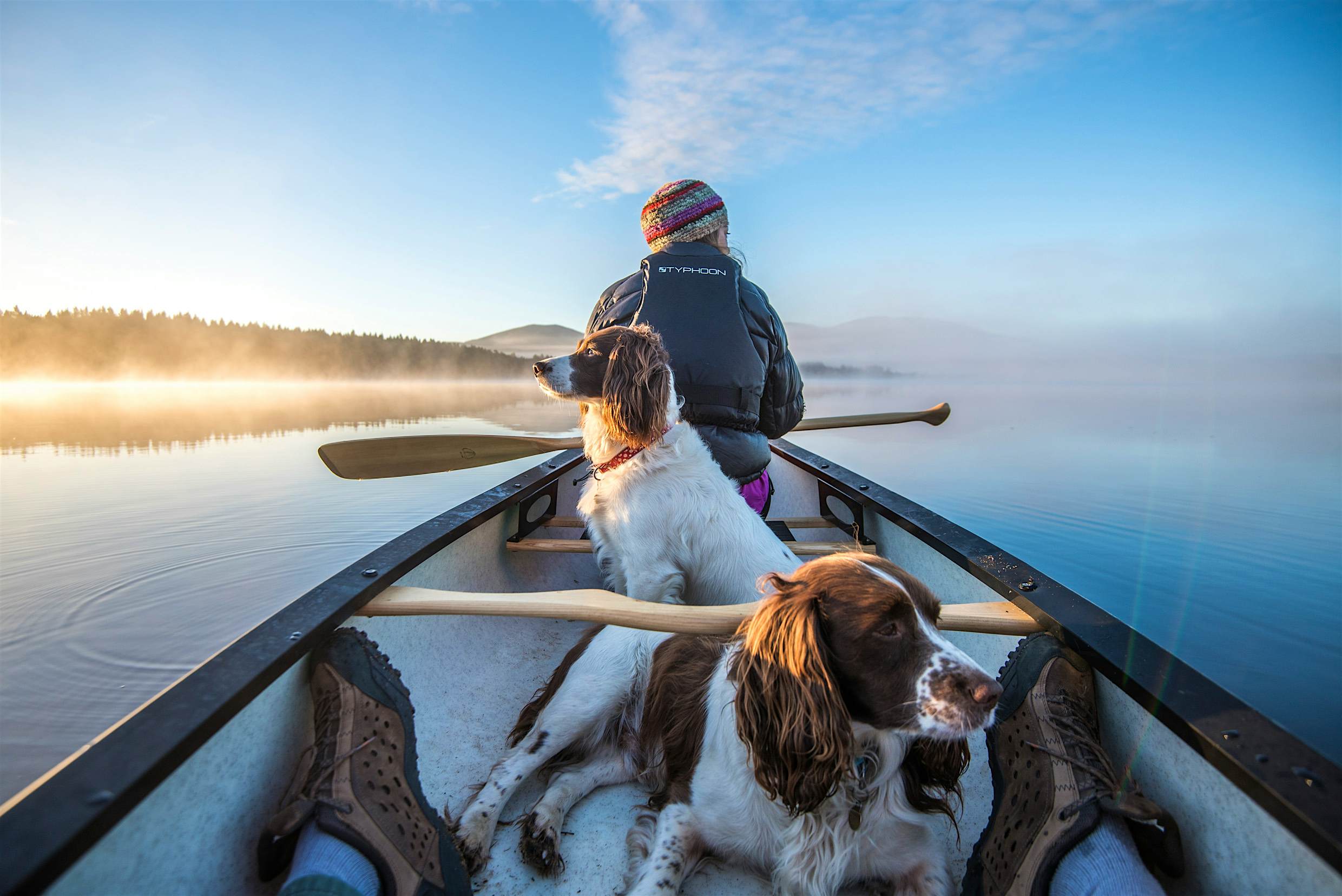 Travel News - Dawn patrol, Loch Garten, Cairngorms, Scotland Travel News - Dawn patrol, Loch Garten, Cairngorms, Scotland