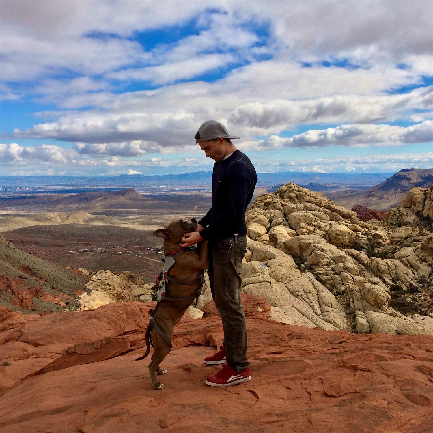 Travel News - Adventure Rescue Dog Travel News - Adventure Rescue Dog
