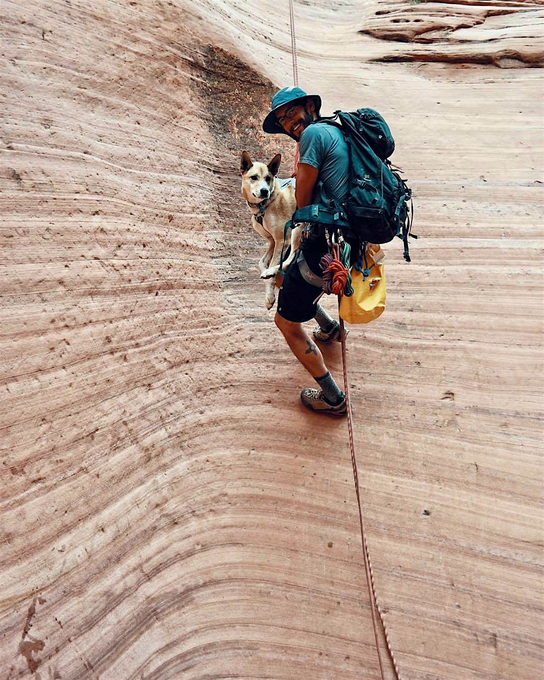 Travel News - Pooch Abseiling Travel News - Pooch Abseiling