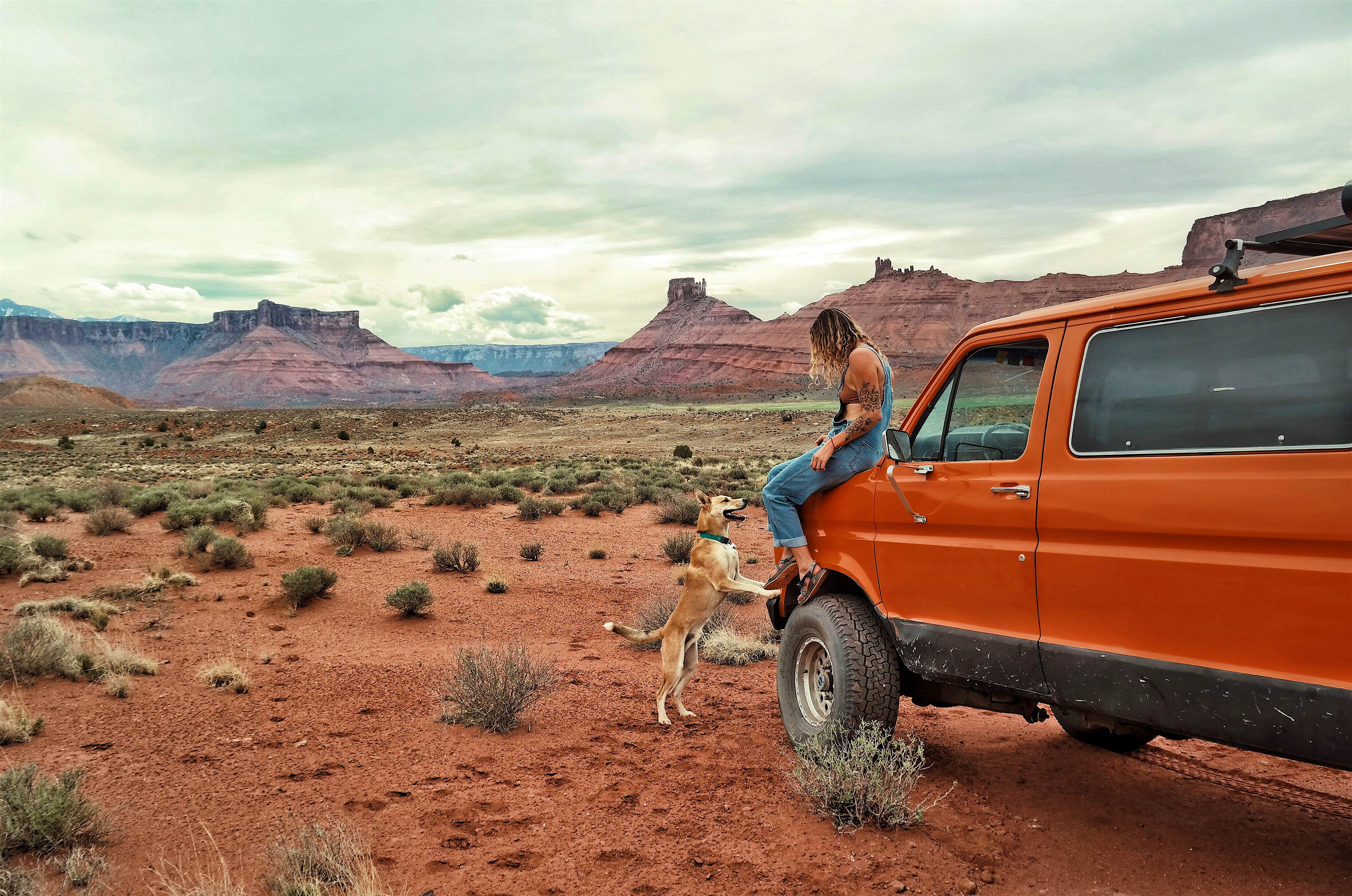 Travel News - Pooch Abseiling Travel News - Pooch Abseiling