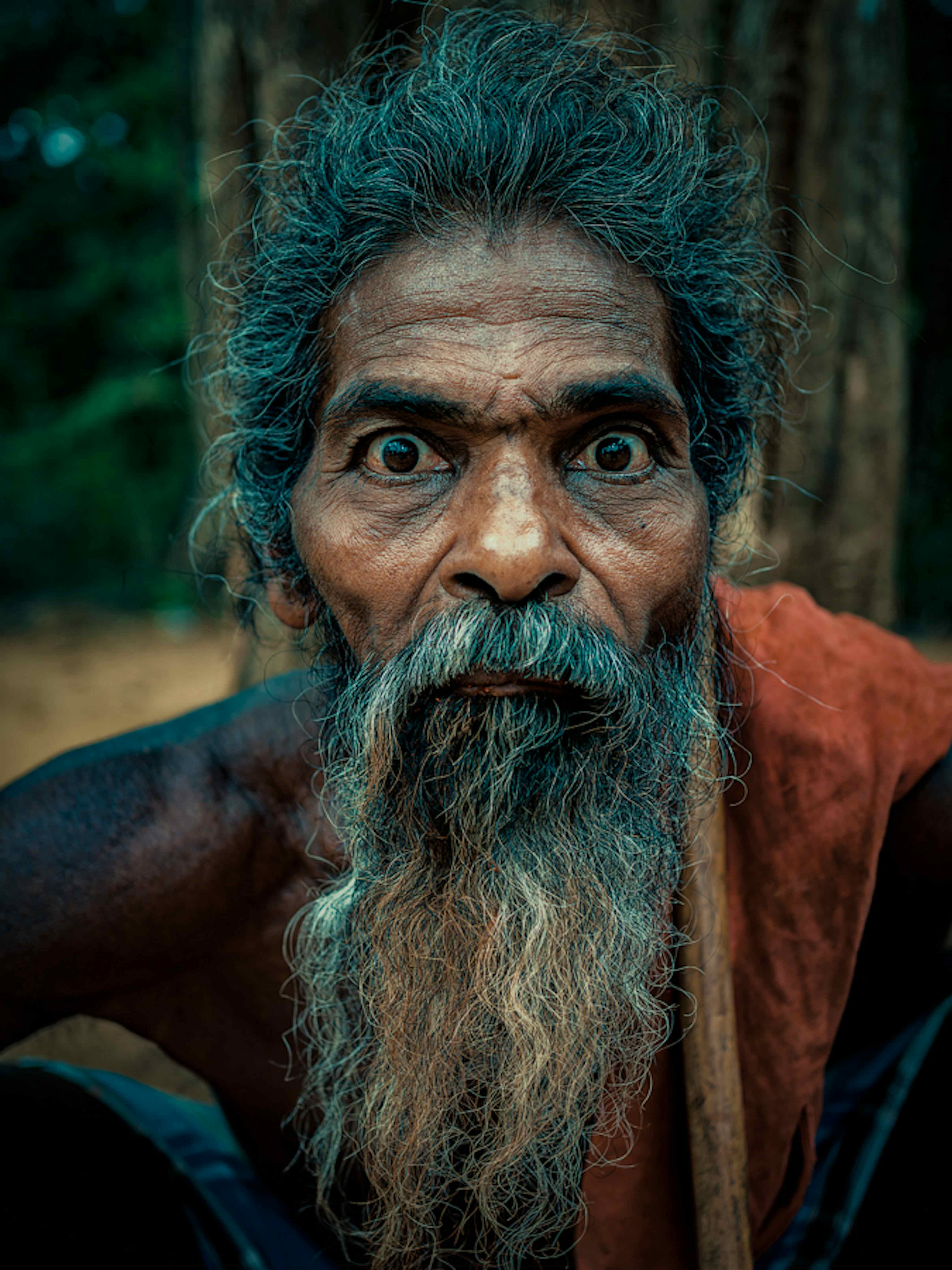 Шри ланкийцы. Ведды Шри Ланка. Шри Ланка коренные жители ведды. Население Шри Ланки ведды. Ведды народ.