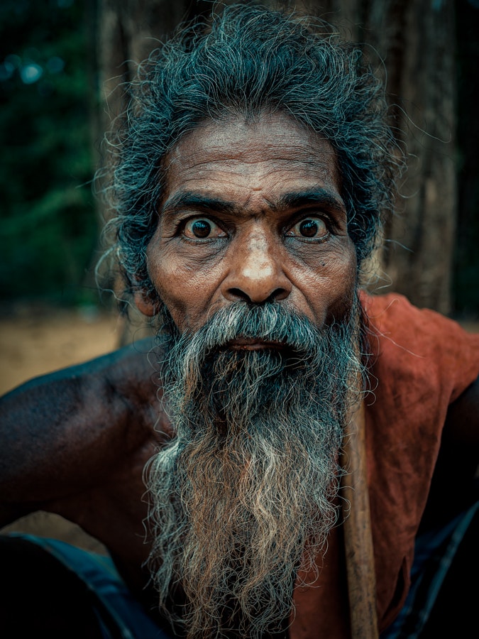 Check out these incredible portraits of the Vedda tribe in Sri Lanka ...