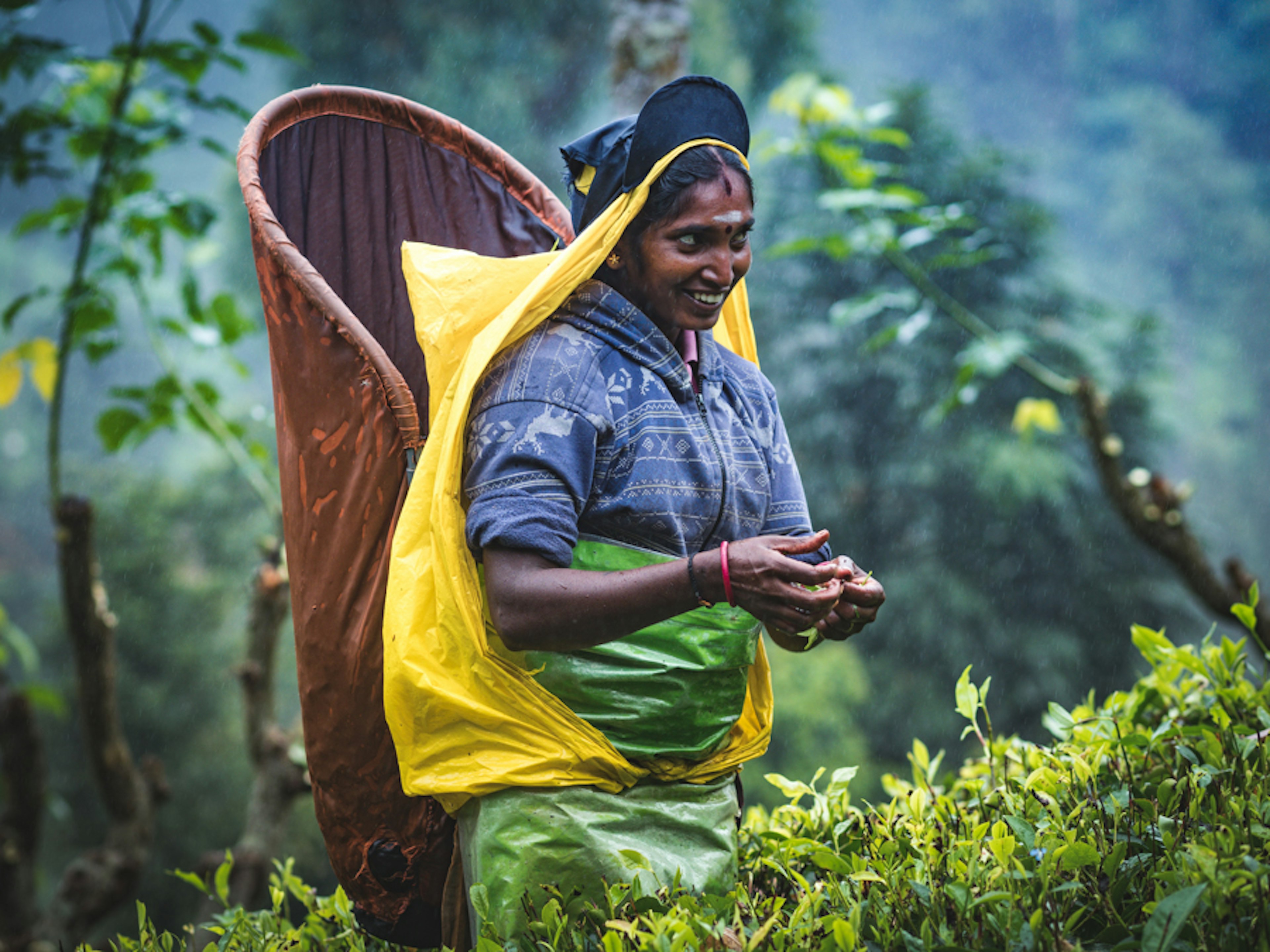 Check out these incredible portraits of the Vedda tribe in Sri Lanka ...