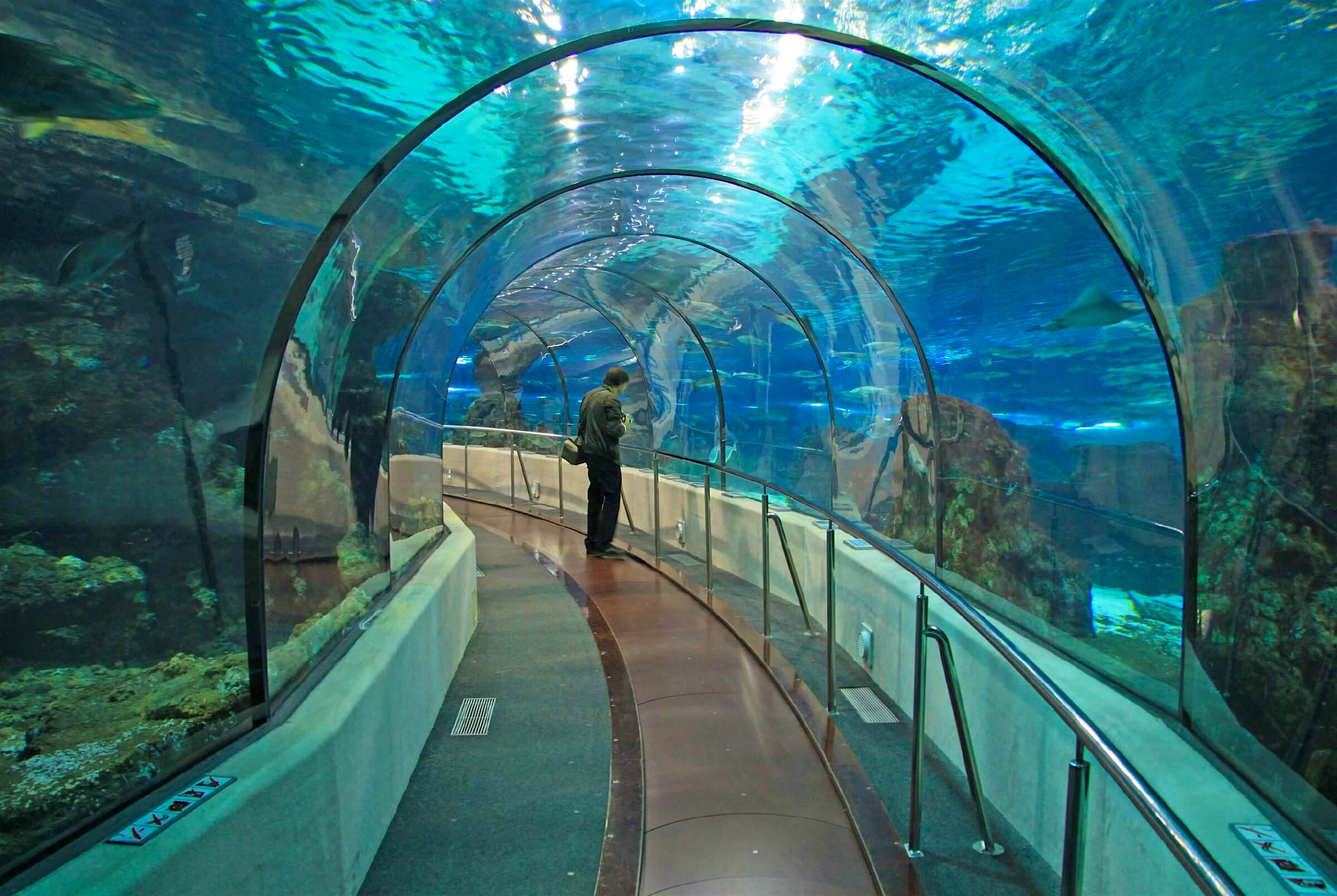 Travel News - aquarium tunnel airport Transparent tunnel in Barcelona Aquarium