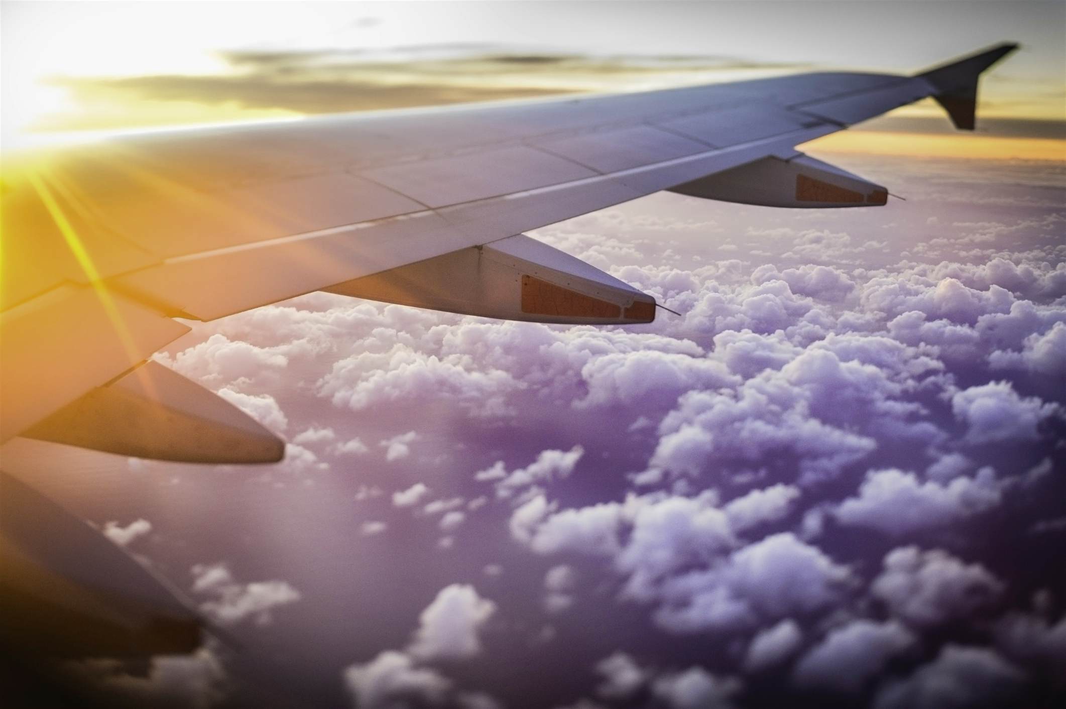 Travel News - Up in the sky The airline's first flight is due to take off next month.
