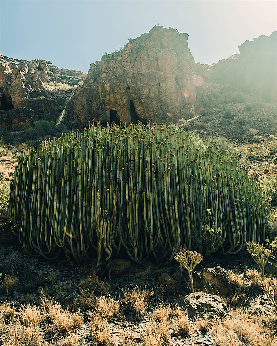 Travel News - Barranco-Hondo-Gran-Canaria Travel News - Barranco-Hondo-Gran-Canaria