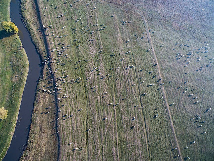 Travel News - DJI_0248 Travel News - DJI_0248