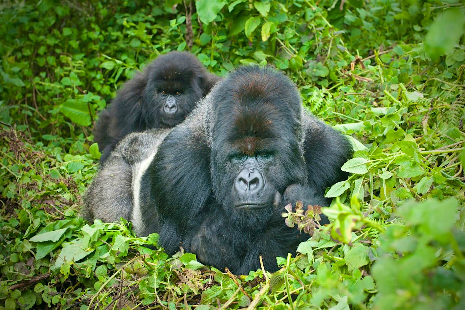 Travel News - GettyRF_170950911 Travel News - GettyRF_170950911