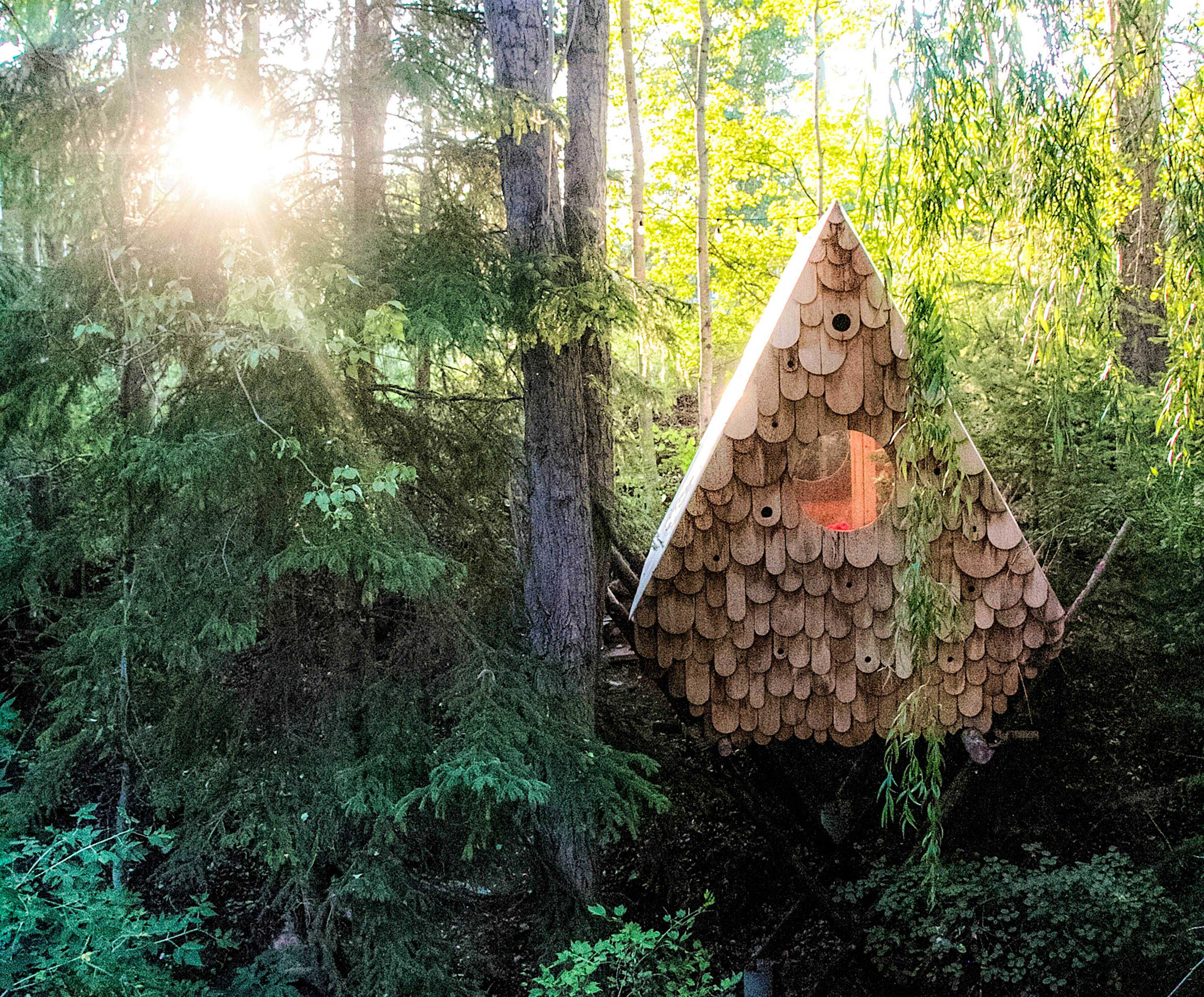 Travel News - MDRUM_Human_Bird_Hut-14 Travel News - MDRUM_Human_Bird_Hut-14