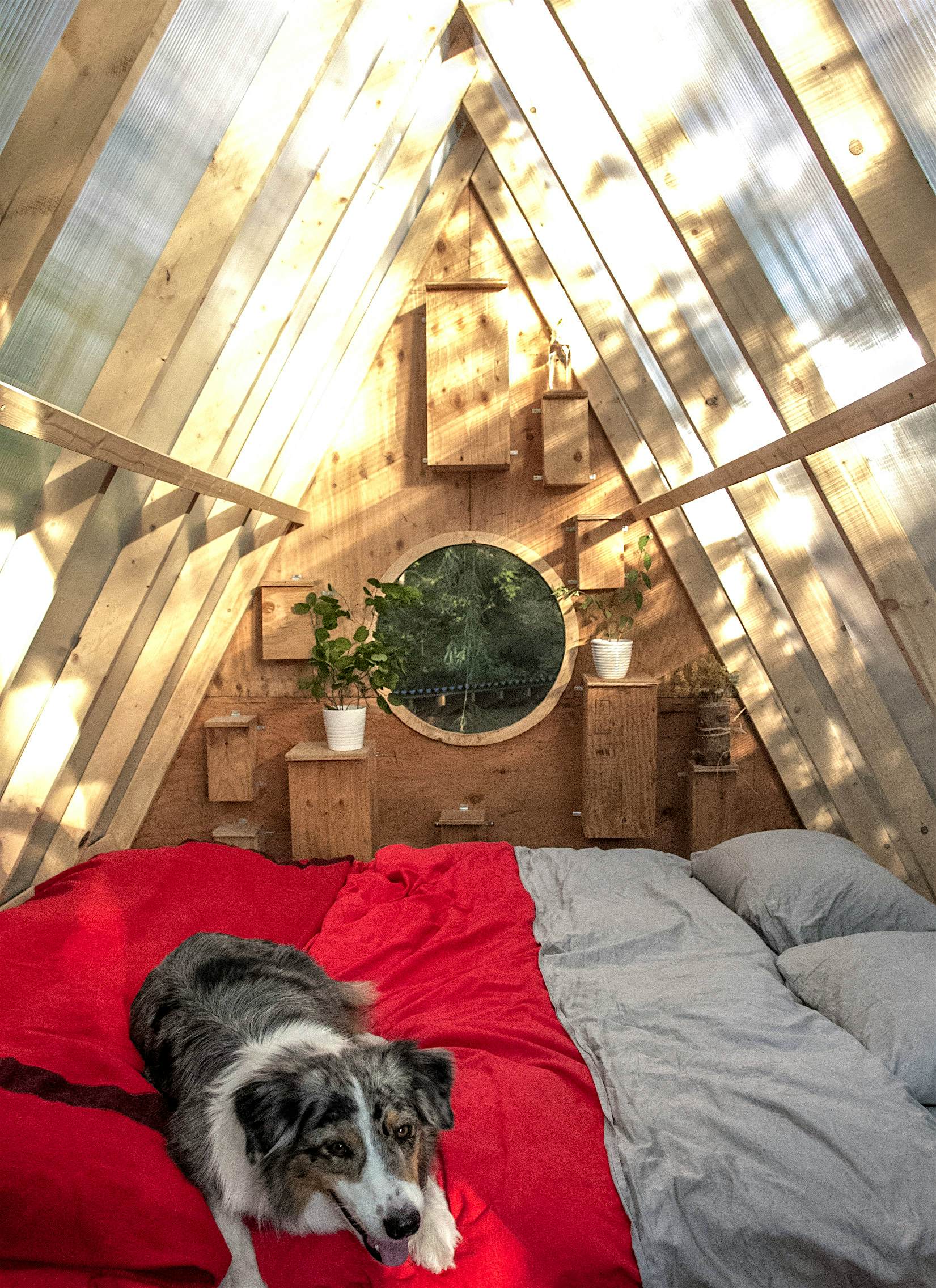 Travel News - MDRUM_Human_Bird_Hut-7 Travel News - MDRUM_Human_Bird_Hut-7