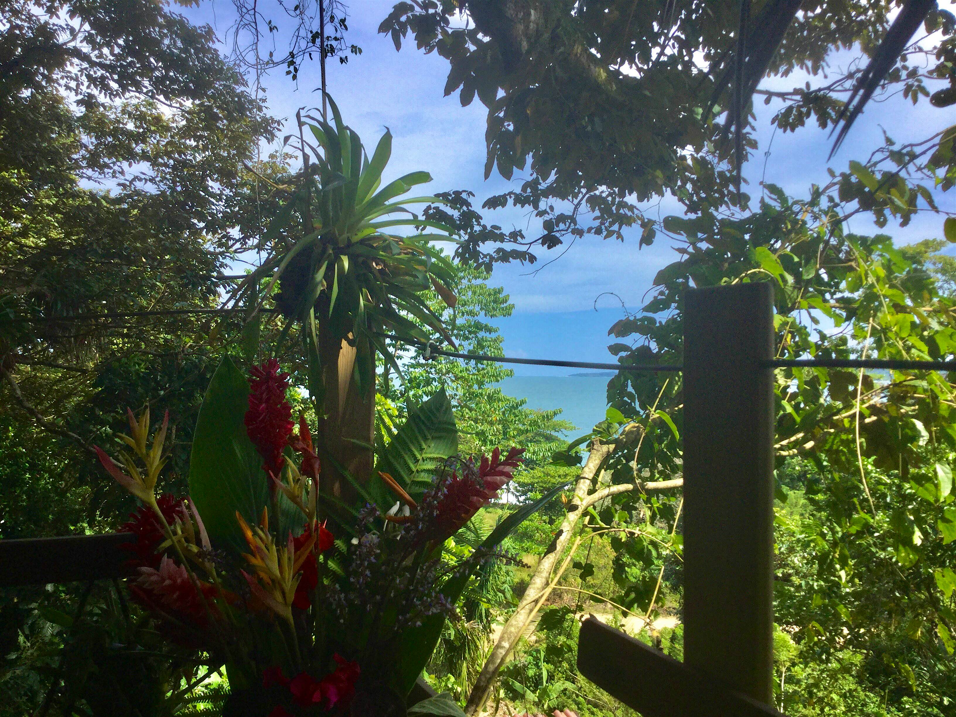 Travel News - Jungle Tree House Travel News - Jungle Tree House