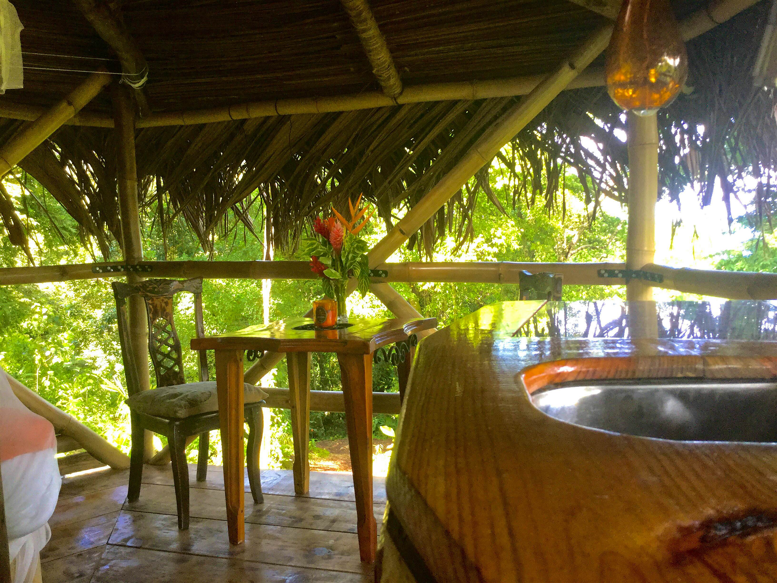 Travel News - Jungle Tree House Travel News - Jungle Tree House
