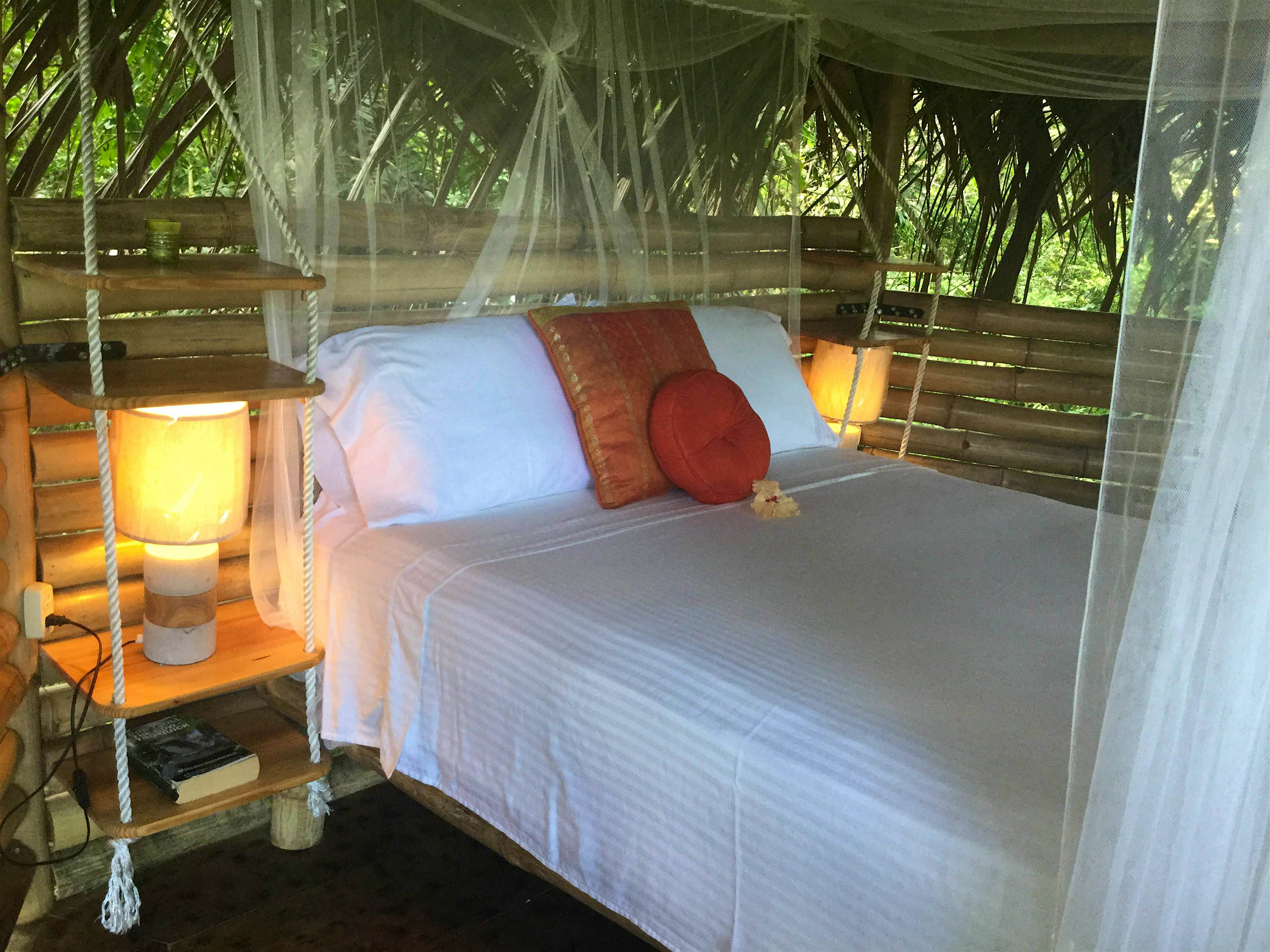 Travel News - Jungle Tree House Travel News - Jungle Tree House