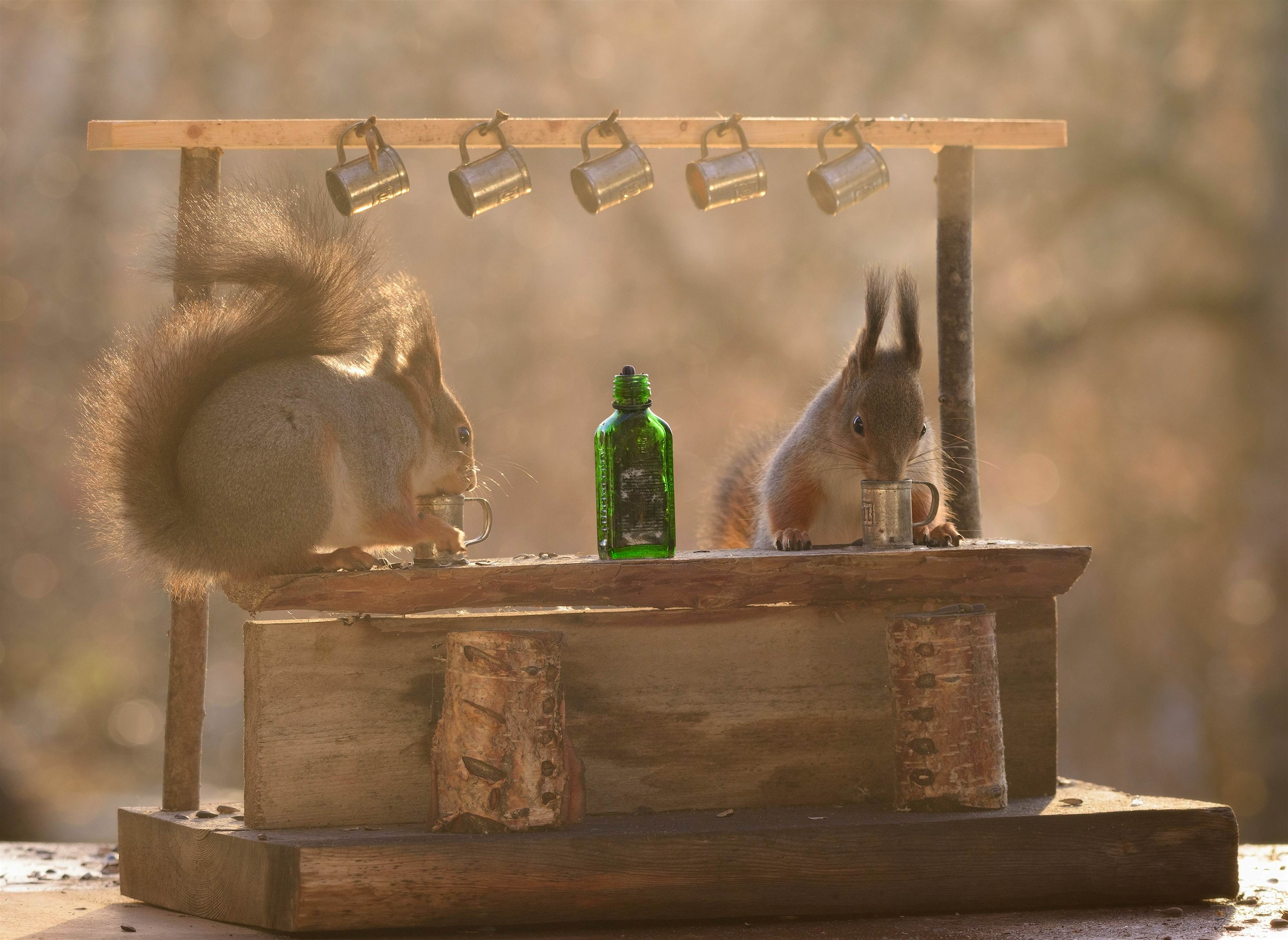 Travel News - Squirrel Bar Travel News - Squirrel Bar