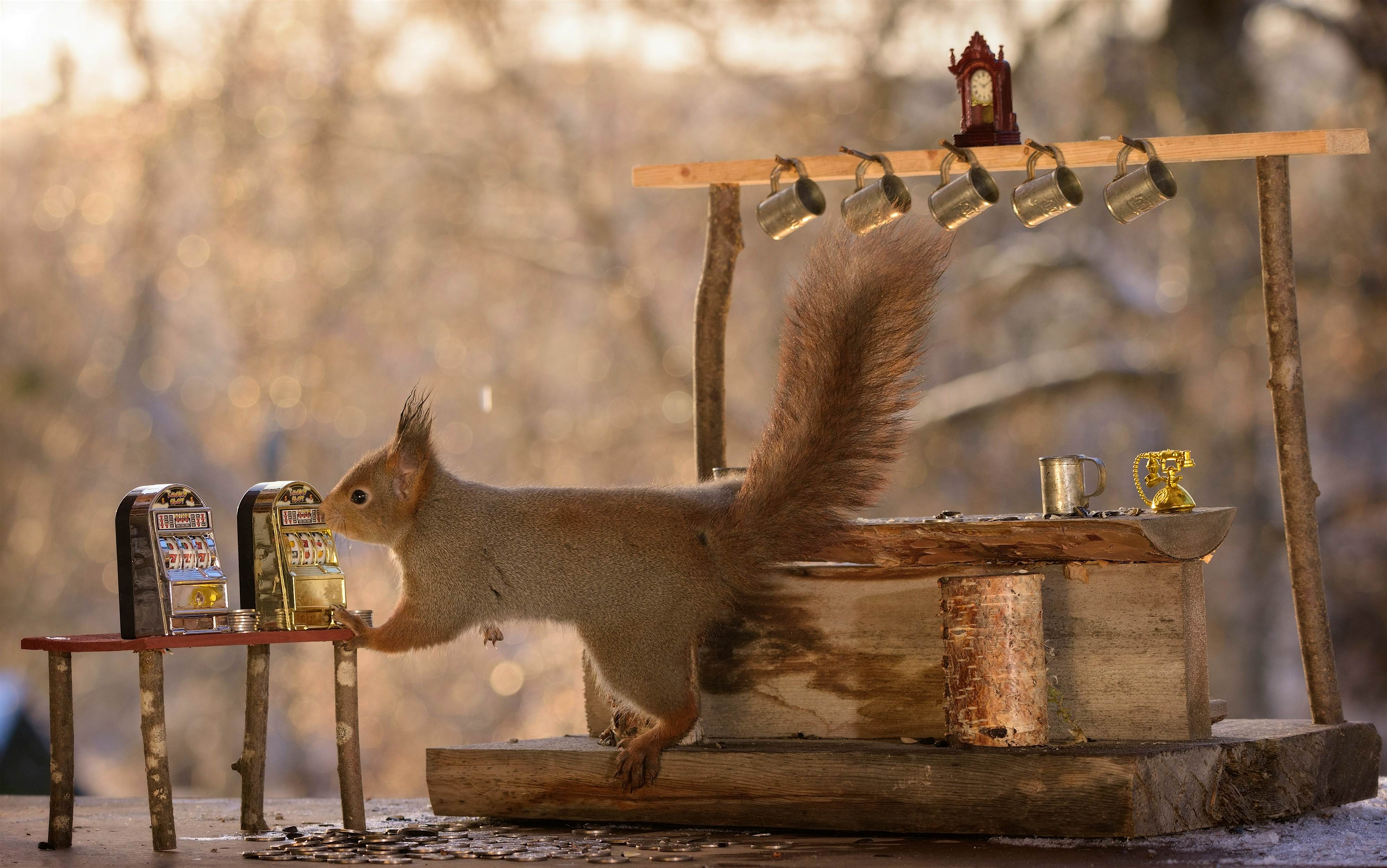 Travel News - Squirrel Bar Travel News - Squirrel Bar