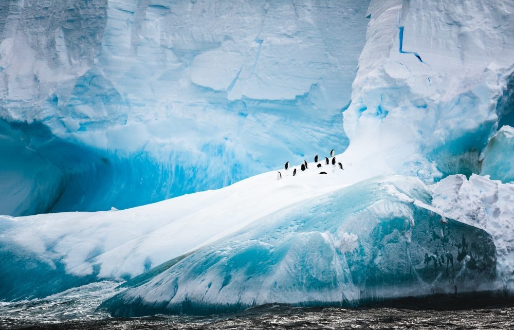 Travel News - Adelie Penguins on an iceberg