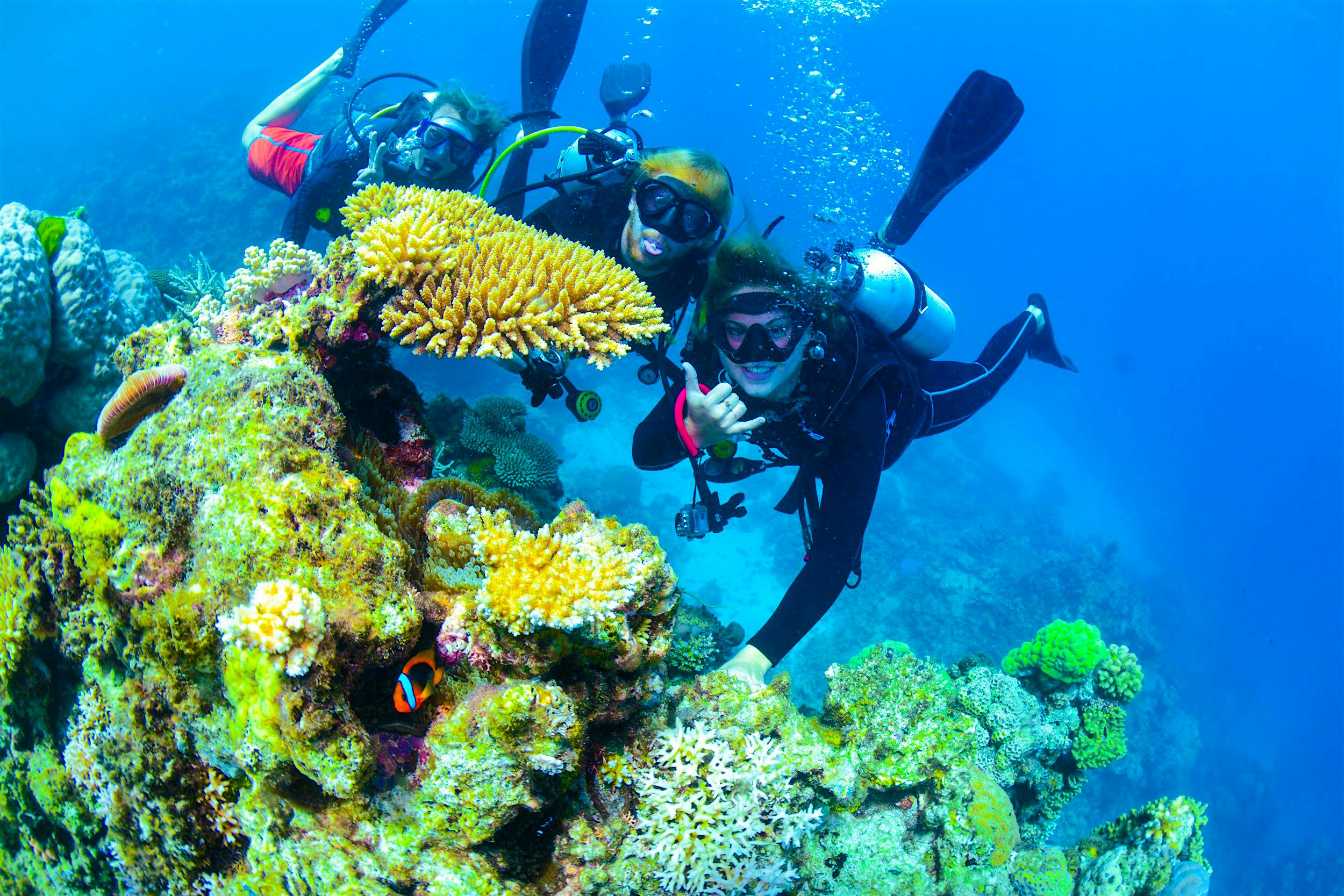 Travel News - Crew of Diver's Den at Beer Garden Reef 65km north east of Port Douglas Travel News - Crew of Diver's Den at Beer Garden Reef 65km north east of Port Douglas