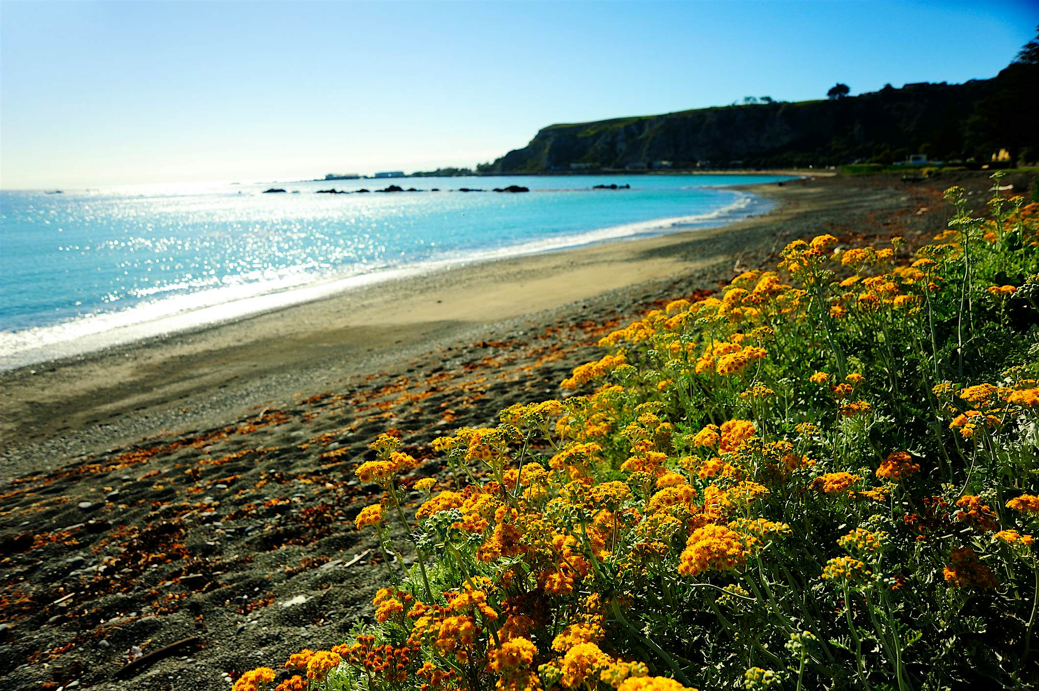 Travel News - The coastline at Kaikoura Travel News - The coastline at Kaikoura