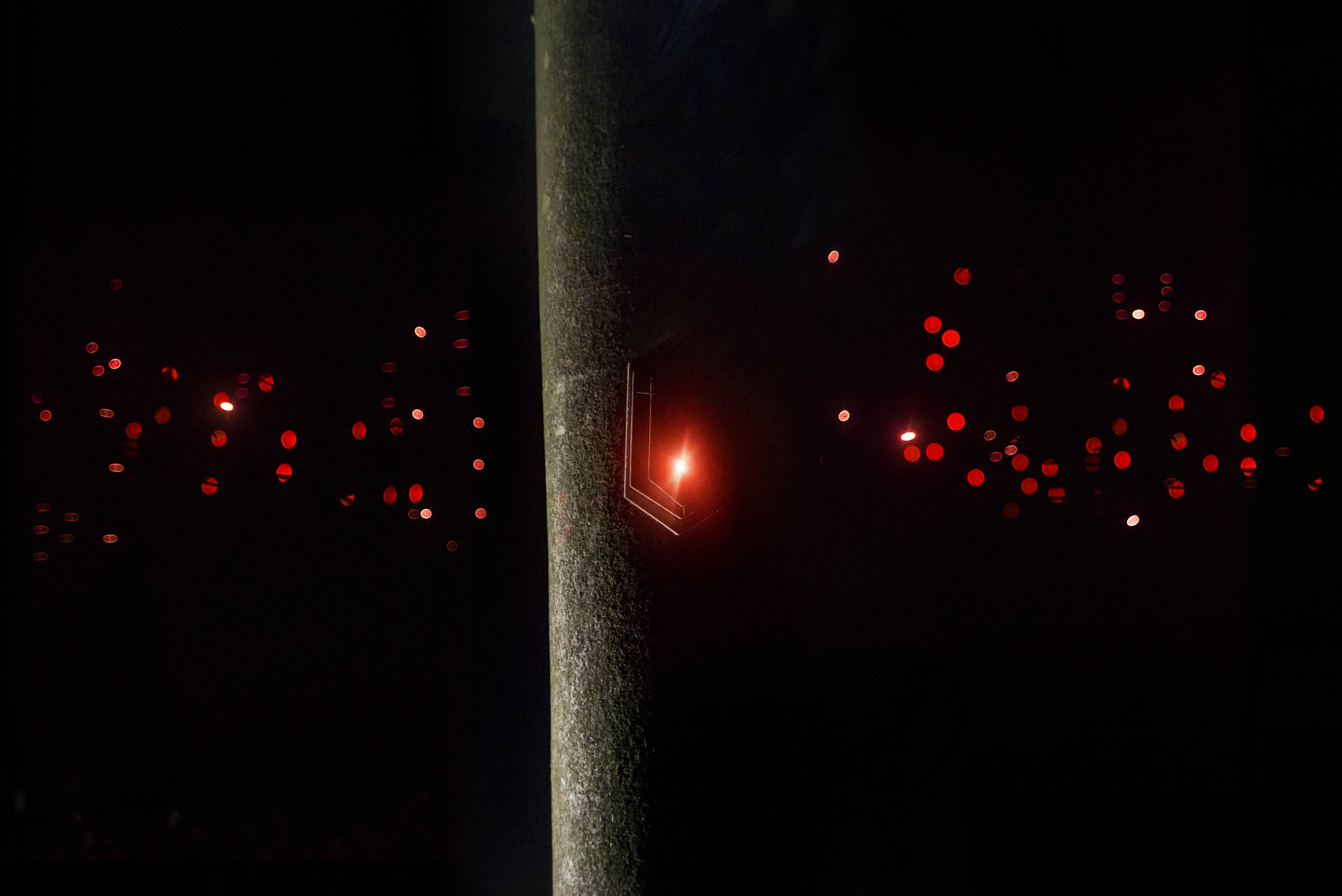 Travel News - Pixi_WERC_photo by Sander van der bij_1 Pixi features 1,250 responsive LED lights mounted to trees in a forest in Drenthe.