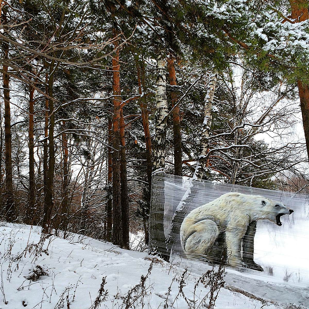 Travel News - IMG_1519 A polar bear piece created with spray paint and plastic wrap.