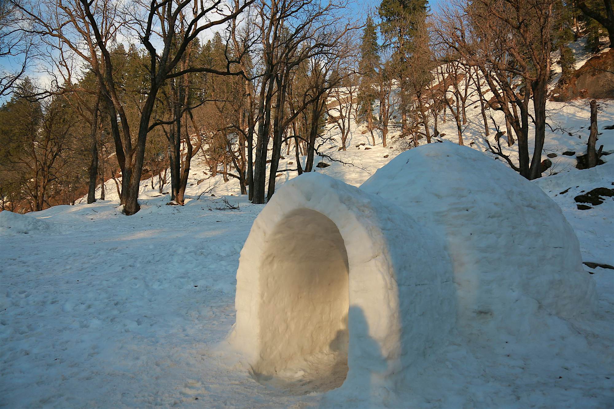 Travel News - Igloo Igloo at Manali