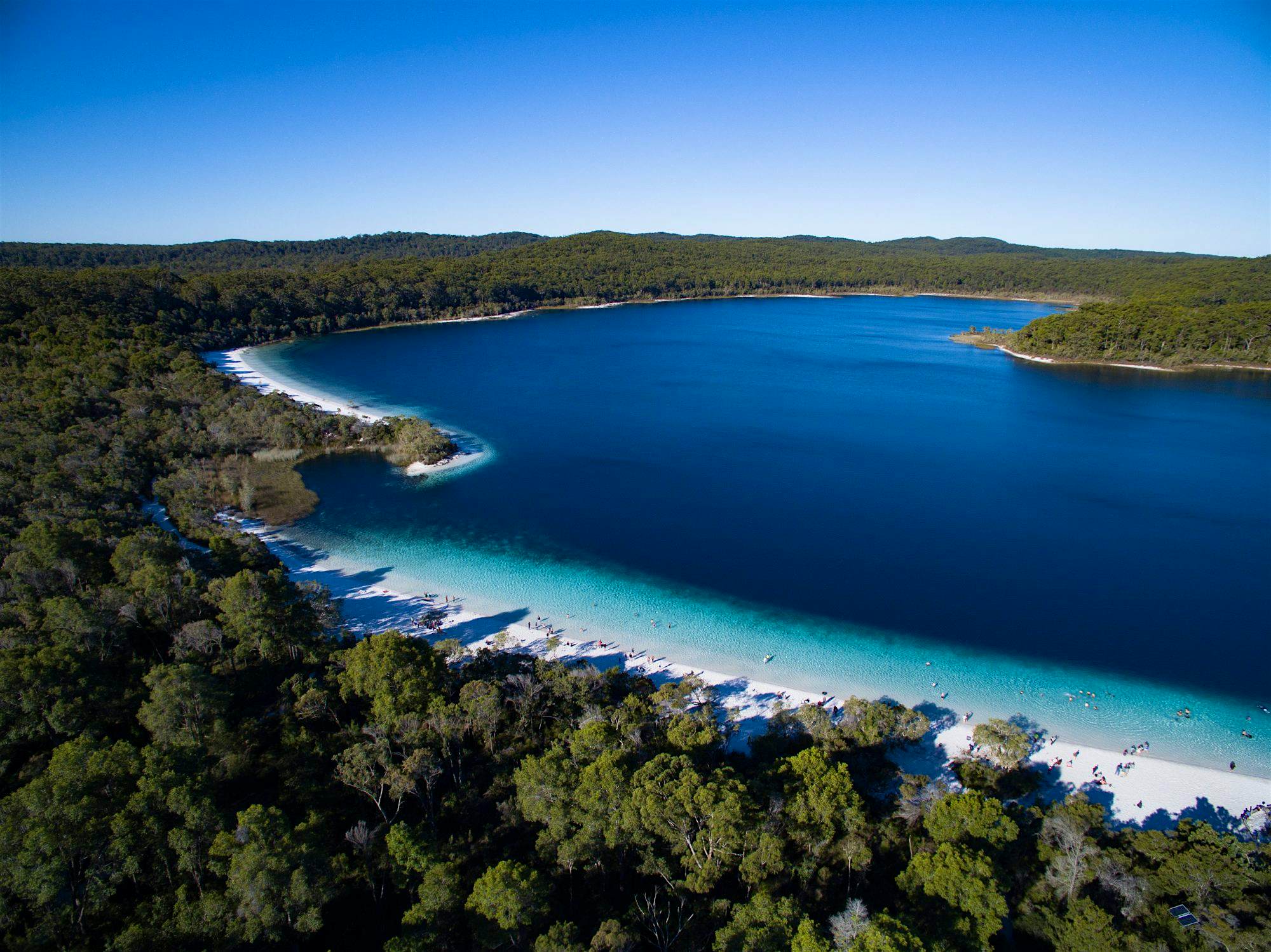 Travel News - LakeMckenzie, Fraser Island Travel News - LakeMckenzie, Fraser Island