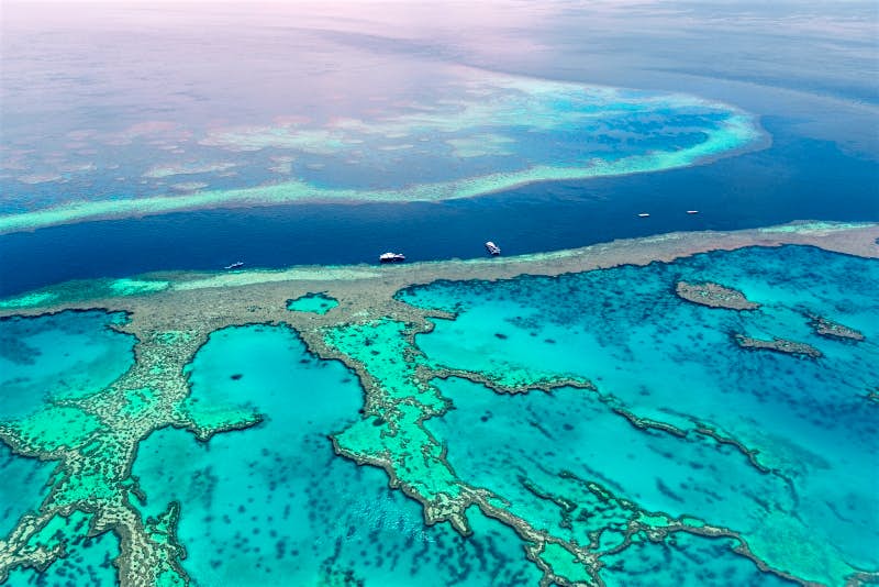 Travel News - how to save the great barrier reef Travel News - how to save the great barrier reef