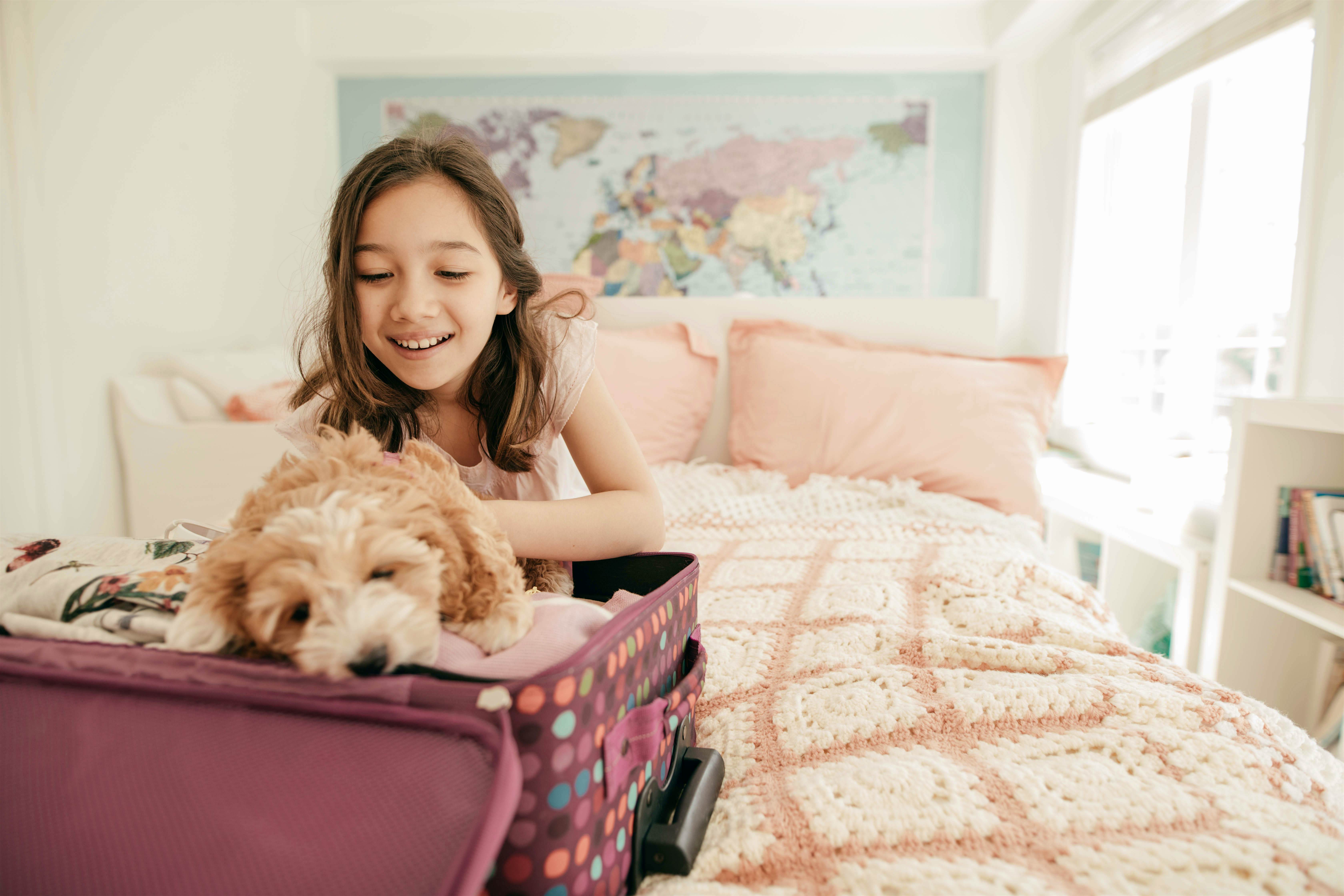 Travel News - puppy Travel News - puppy