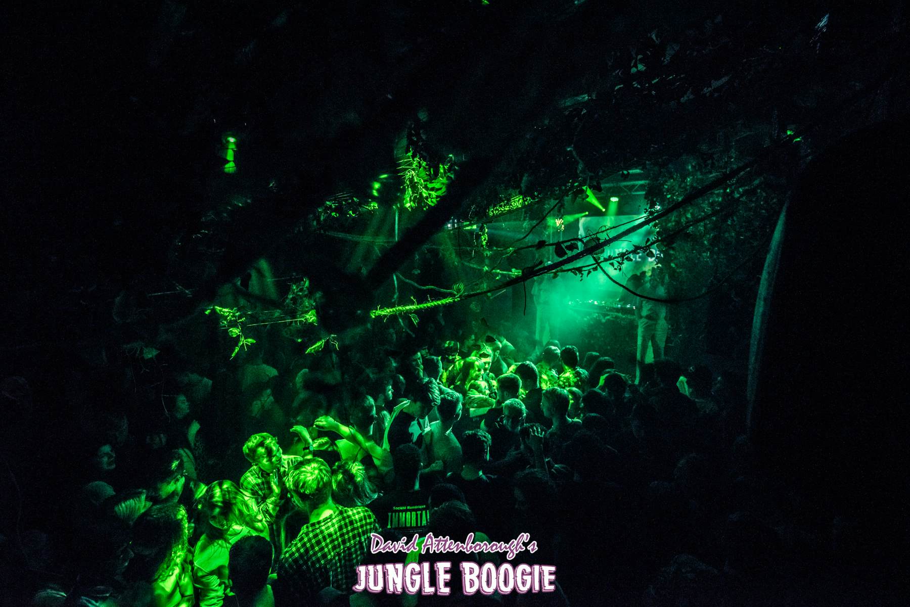 David Attenborough Themed Raves Are Popping Up All Over The Uk Lonely Planet David Attenborough Themed Raves Are Popping Up All Over The Uk Lonely Planet