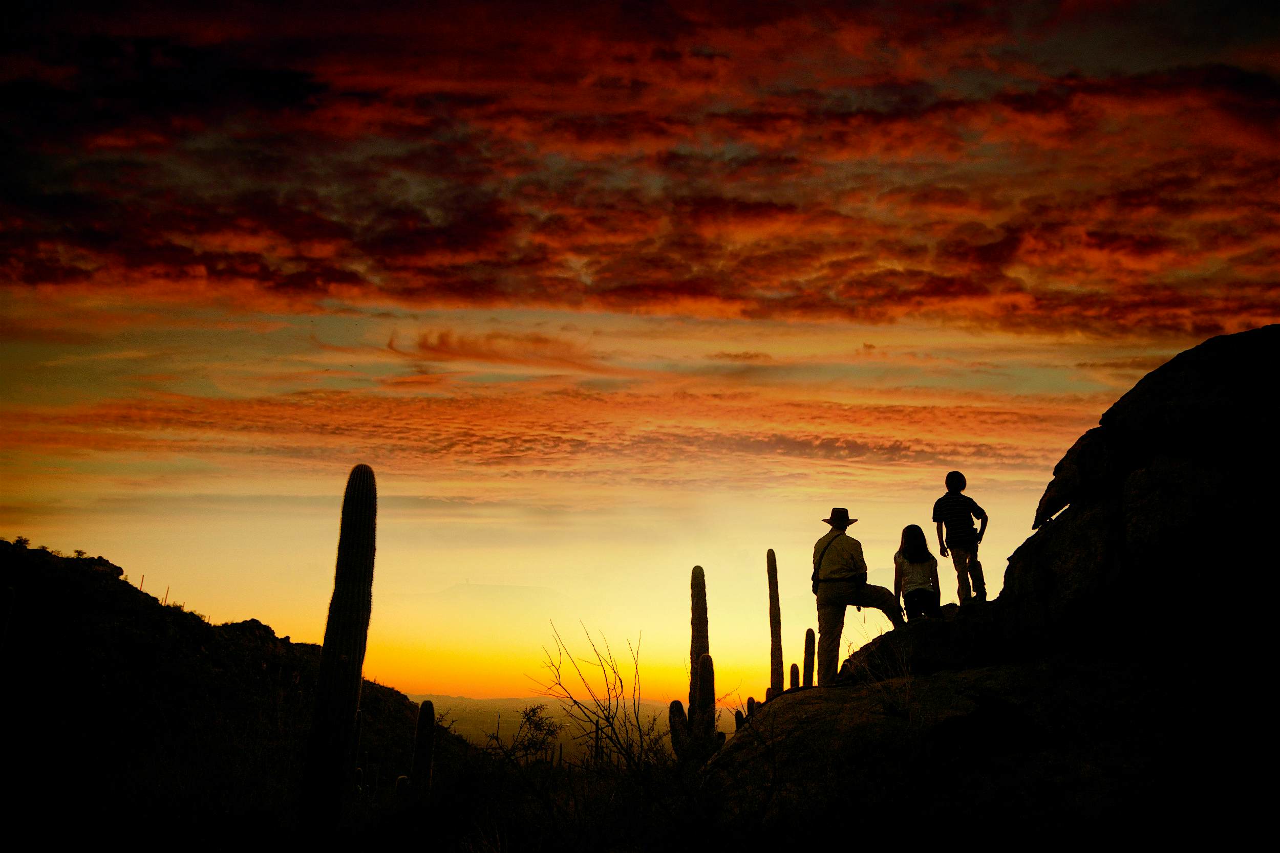 Travel News - Dove Mountain The Ritz-Carlton Dove Mountain in Arizona is surrounded by 20 miles of hiking and biking trails, which can be explored independently or on a guided excursion