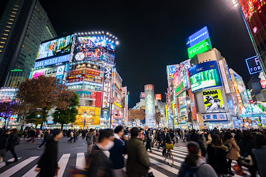 Travel News - Shibuya Crossing at Night Shibuya Crossing at Night