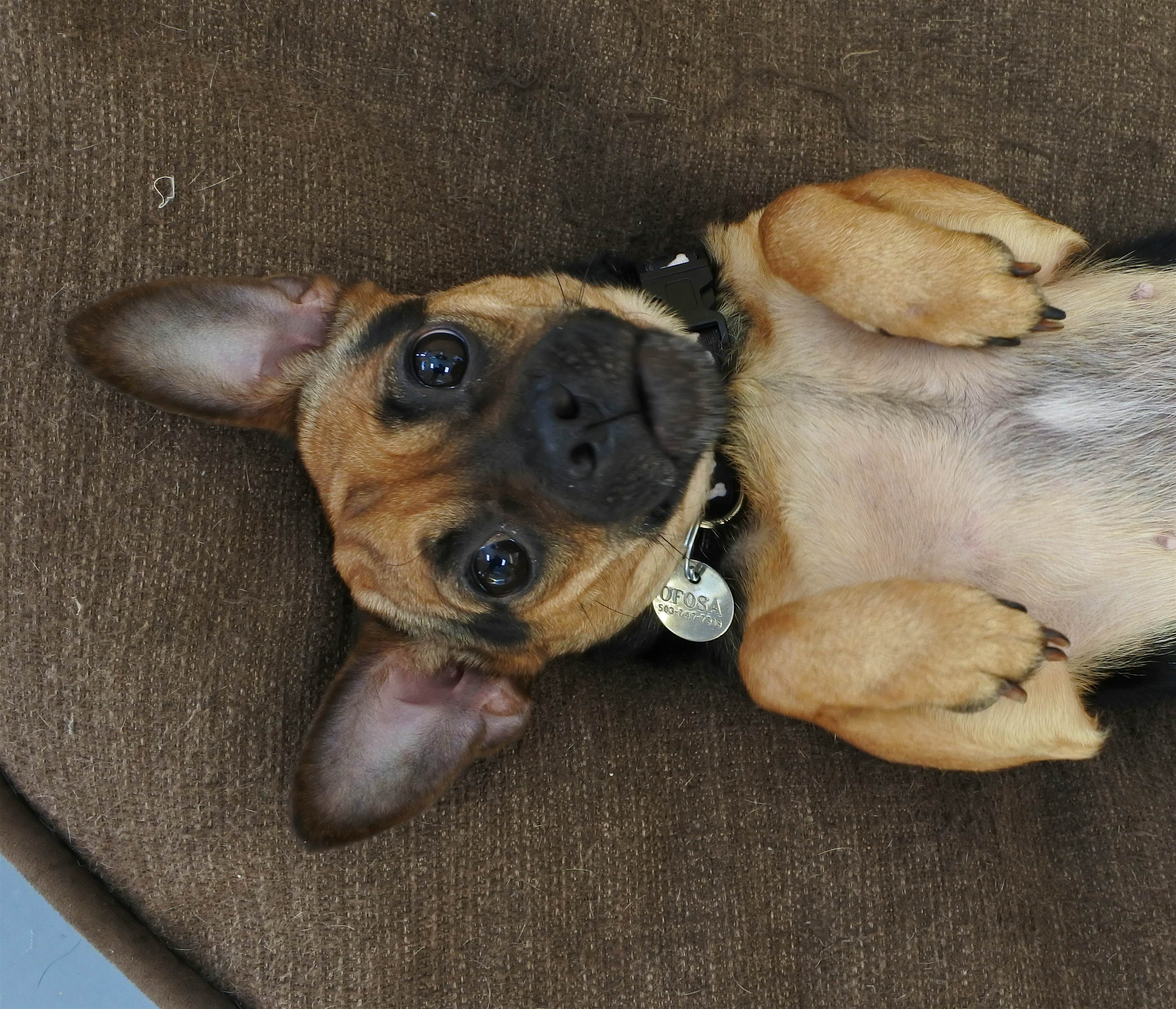 Travel News - Gidget Travel News - Gidget