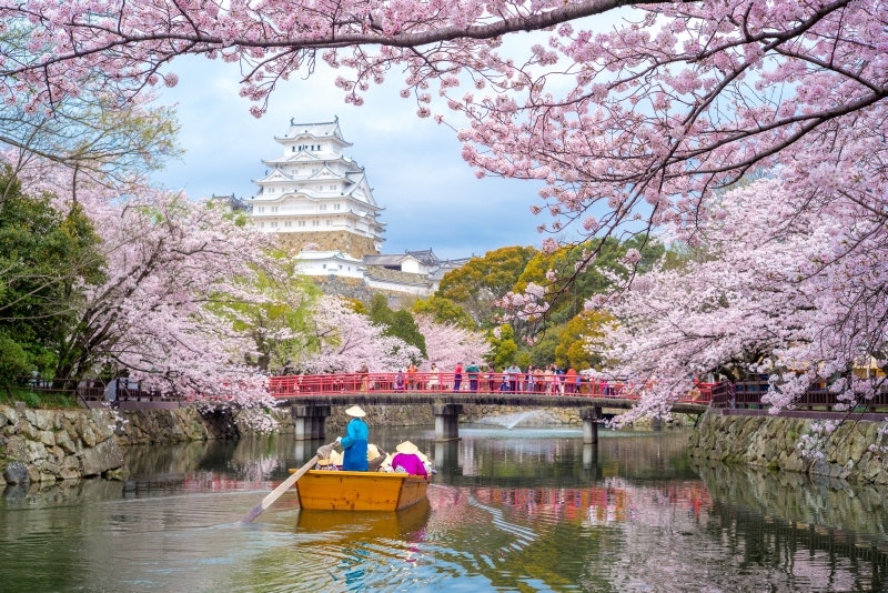 Travel News - Himeji Castle with beautiful cherry blossom in spring season.