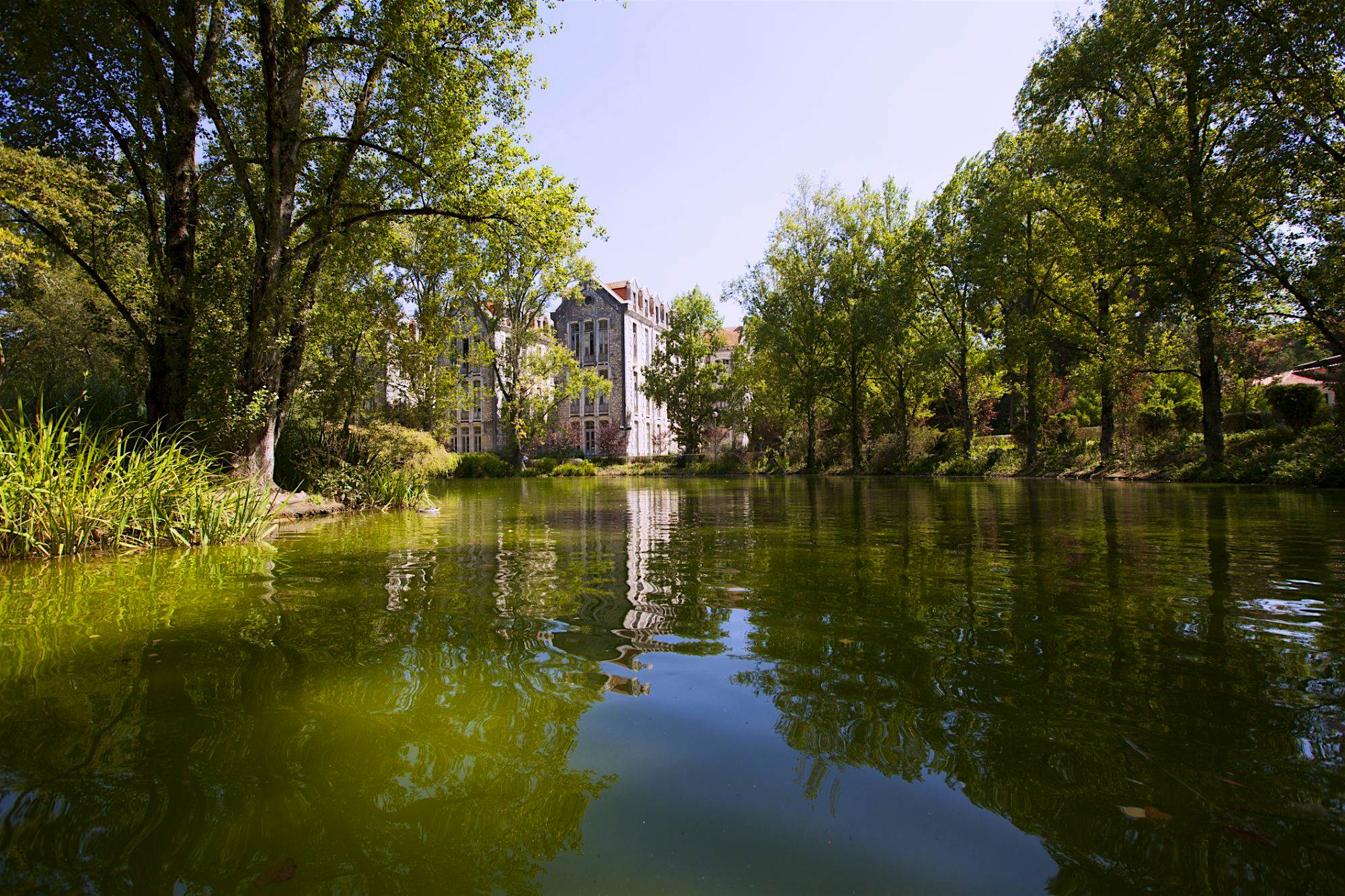 Travel News - Caldas da Rainha garden Travel News - Caldas da Rainha garden