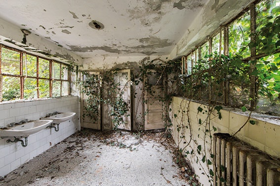 Travel News - Reclaimed by Nature